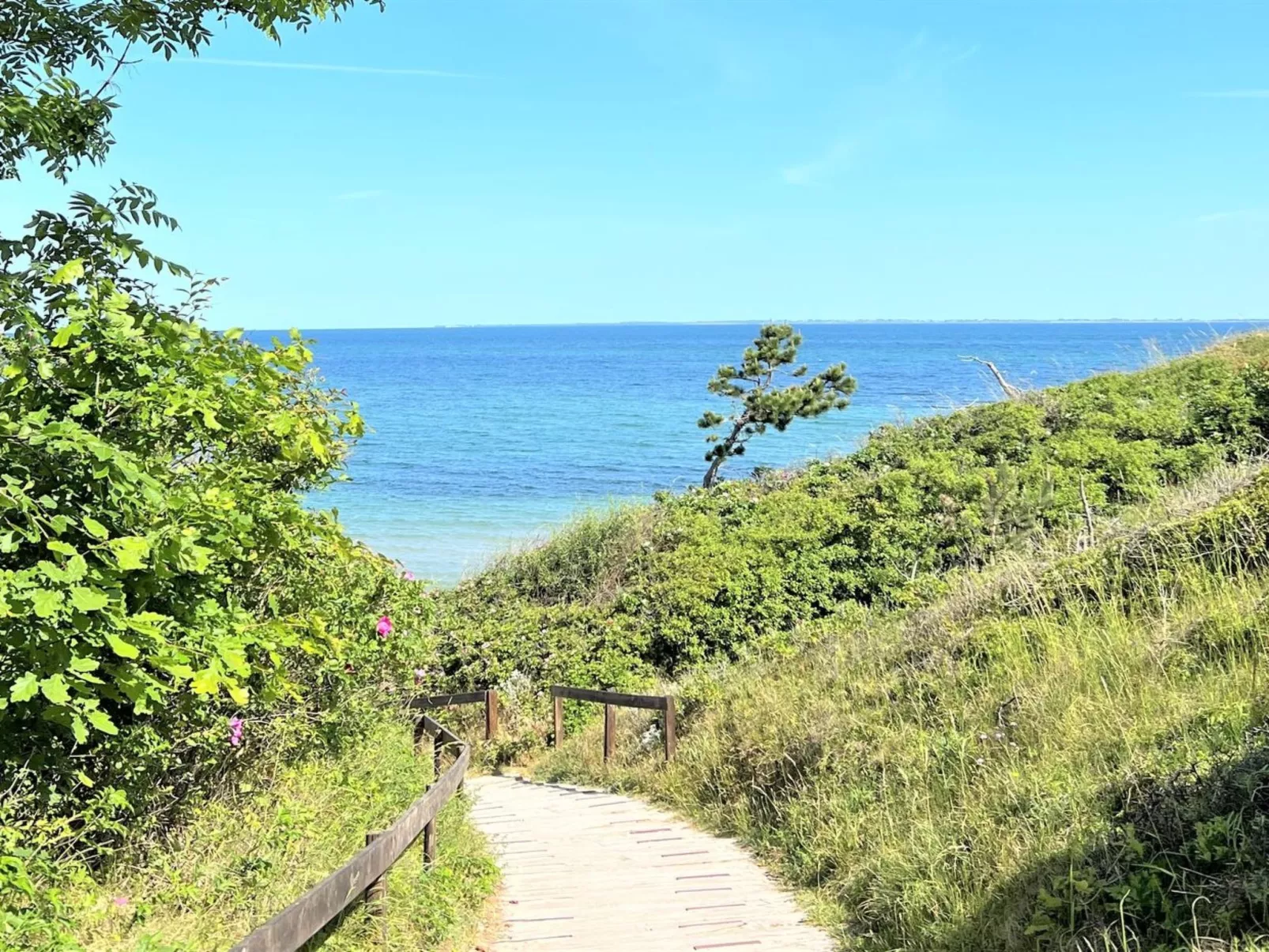 "Aurore" - 1.3km from the sea-Outside