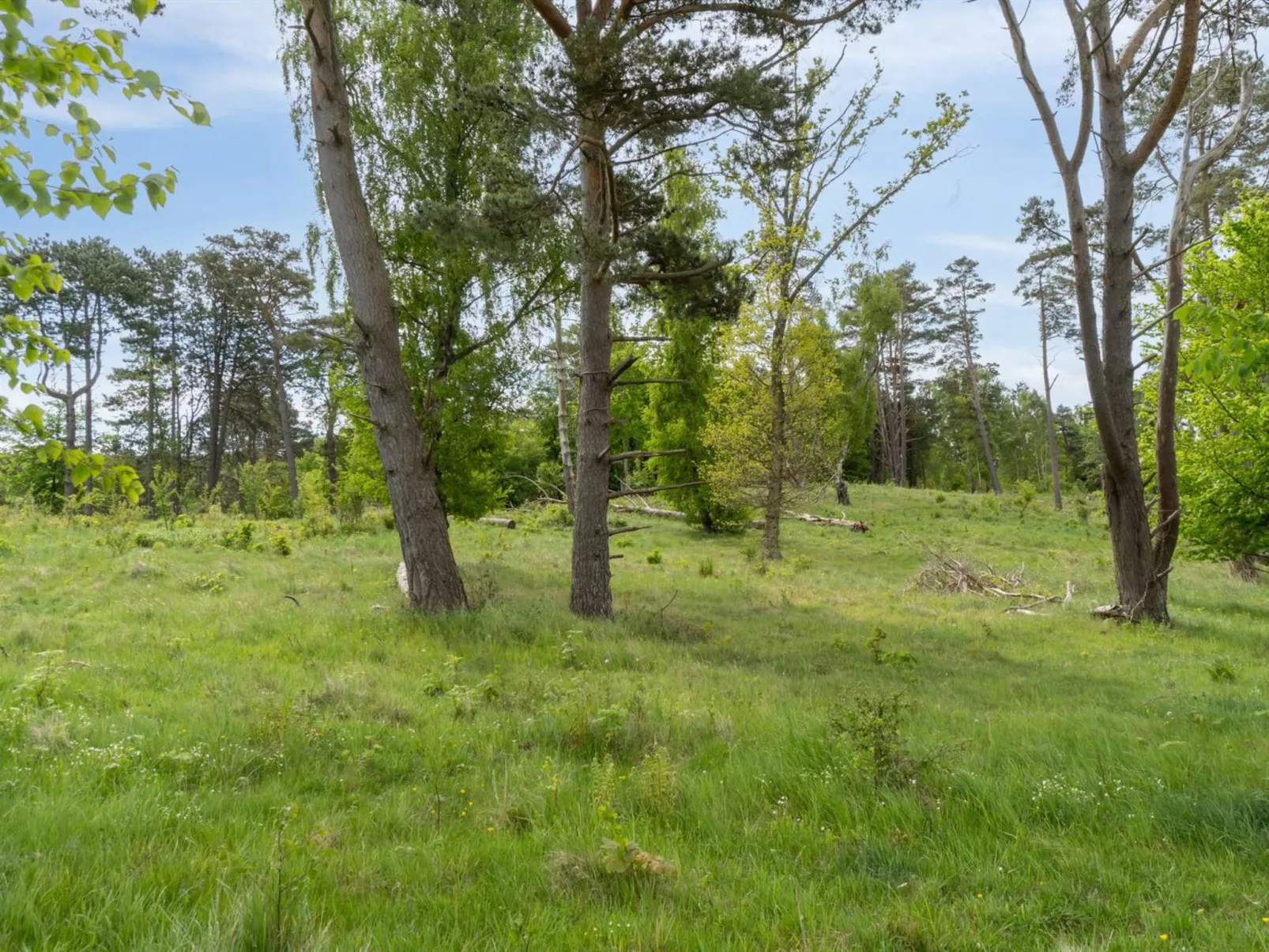 "Rami" - 2km from the sea-Outside