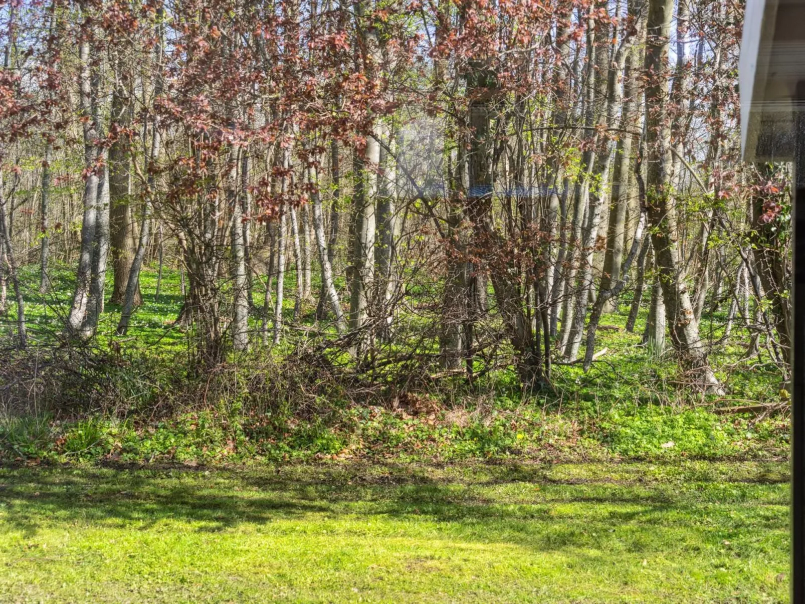 "Arnetta" - 150m from the sea-Draußen