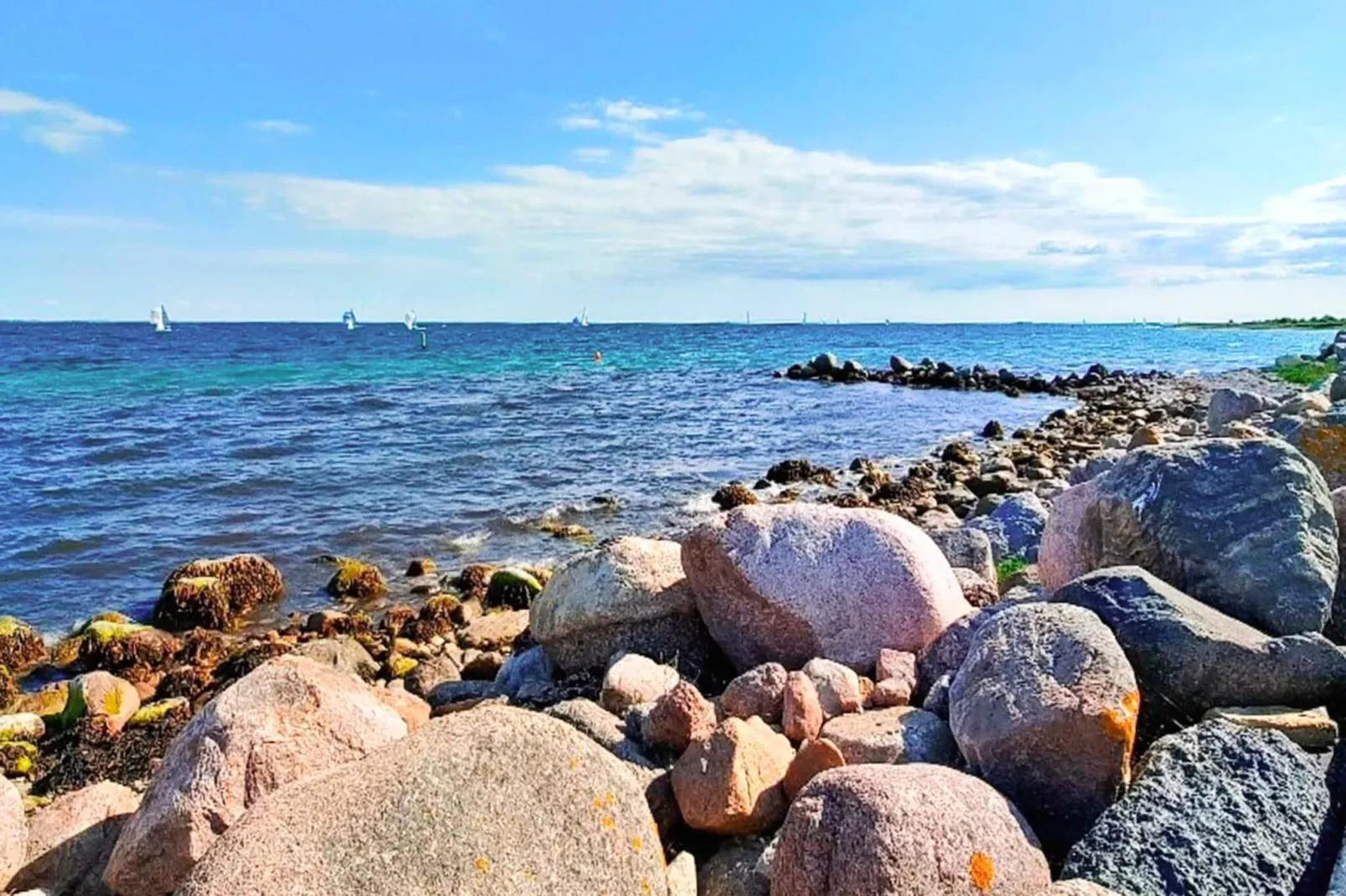 4 etoiles maison de vacances a Gørlev-By Traum-Vue sur l'eau