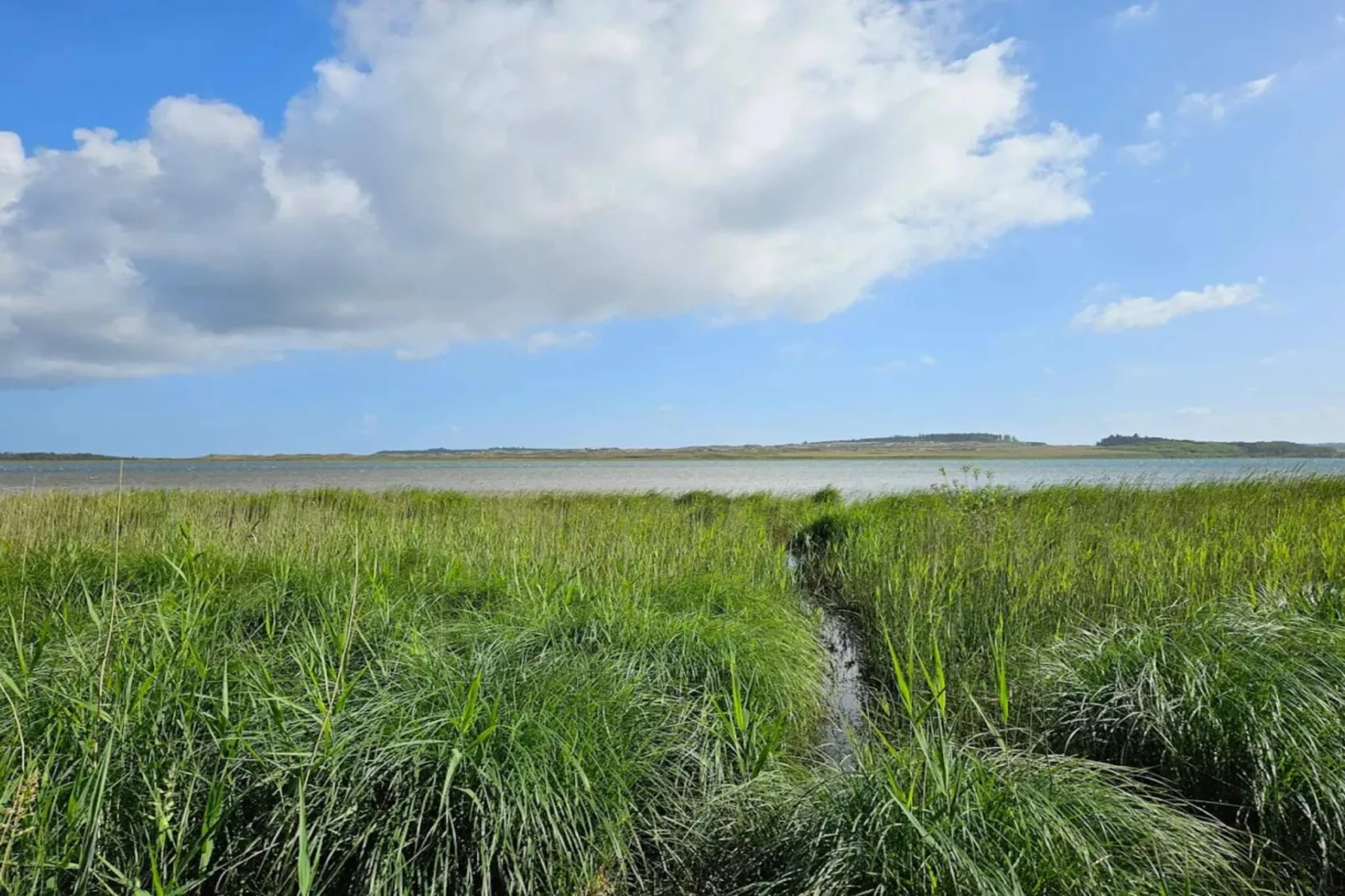 4 star holiday home in Thisted-By Traum-Water view