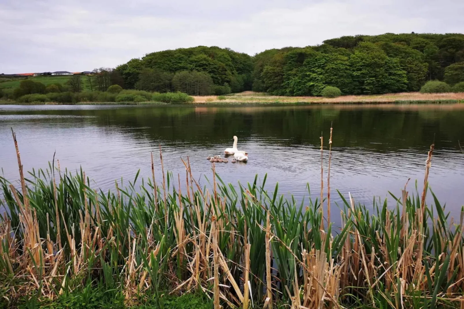 5 star holiday home in Kolding-Water view