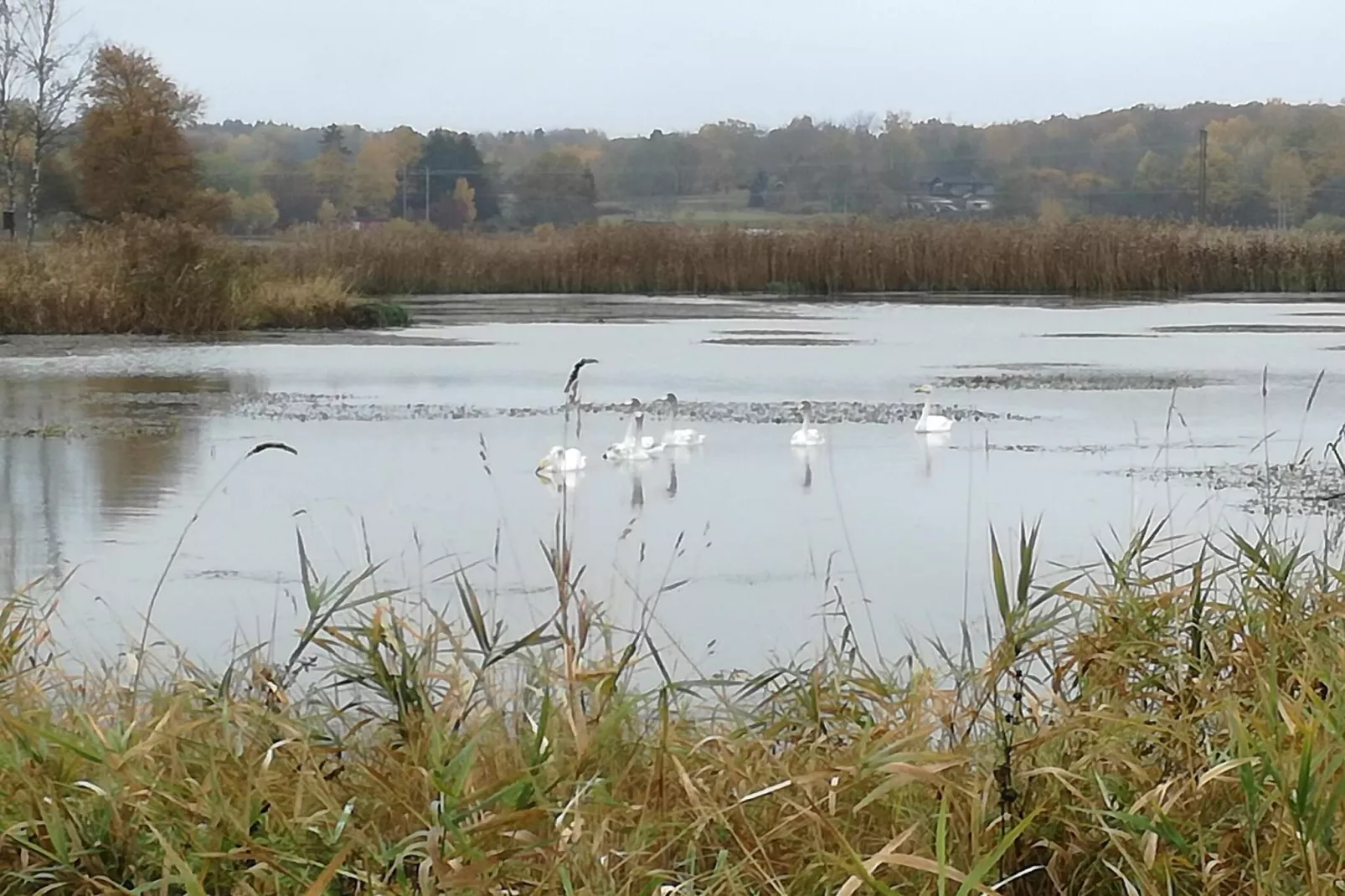 4 Sterne Ferienhaus in MALMKÖPING-By Traum-Wasserblick