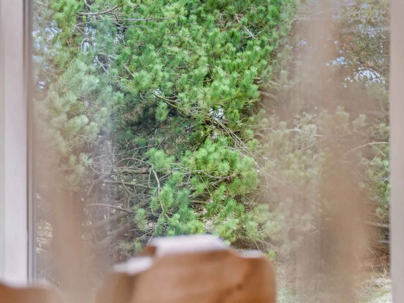 "Velika" - 1.2km from the sea-Draußen