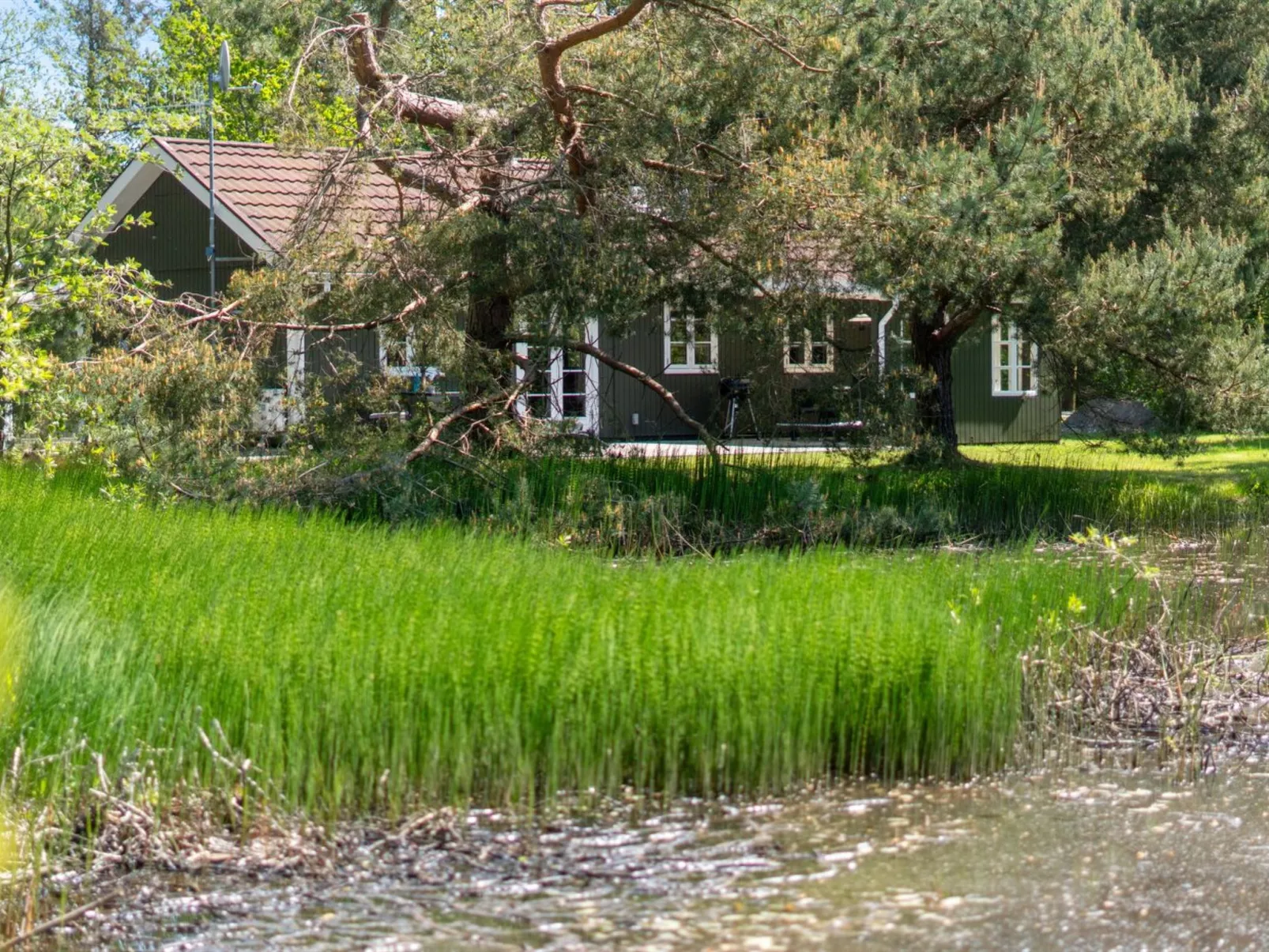 "Smilla" - 300m from the sea-Outside