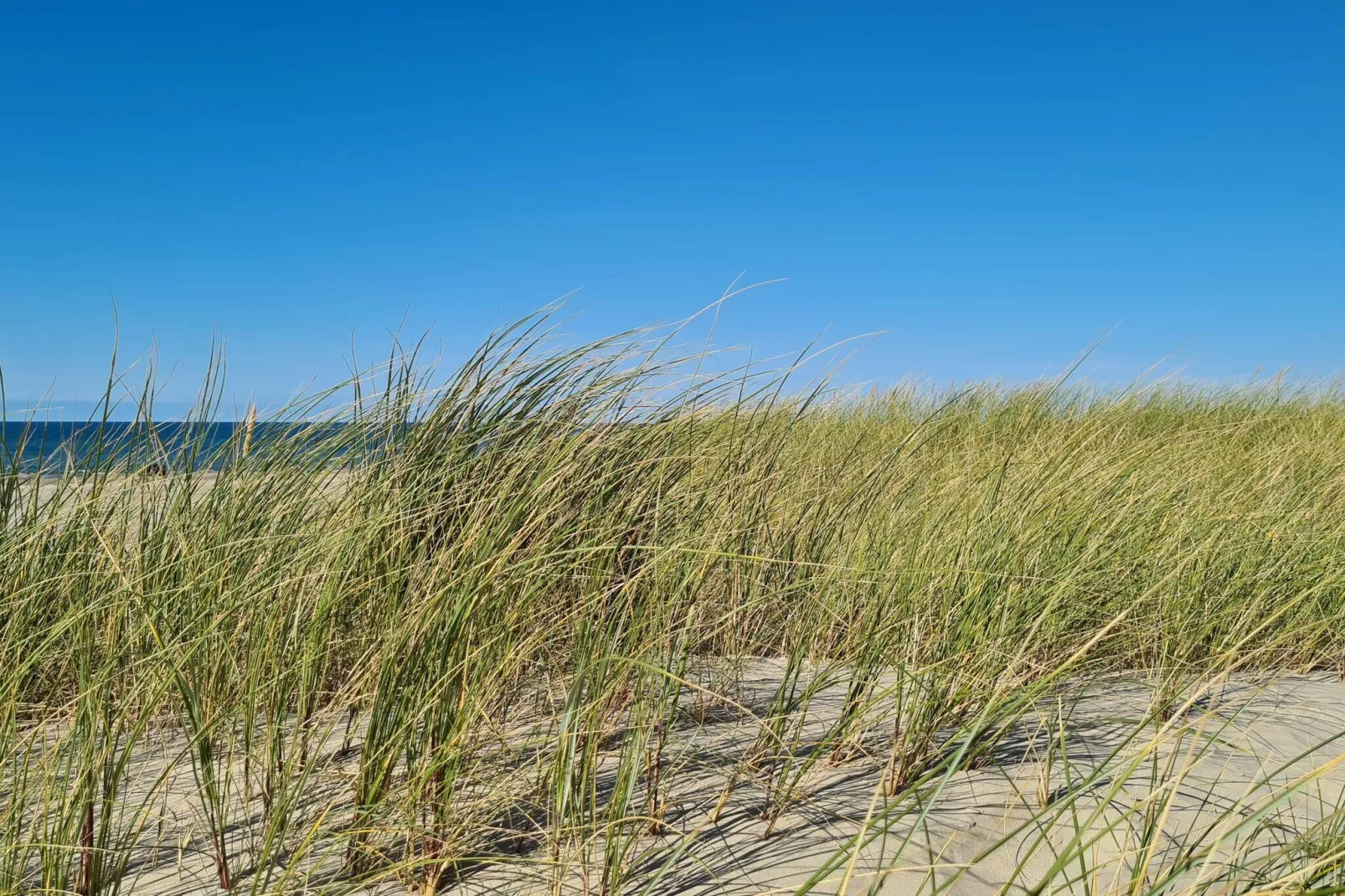 Maison de vacances pour 8 a Pandrup-By Traum-Vue sur l'eau