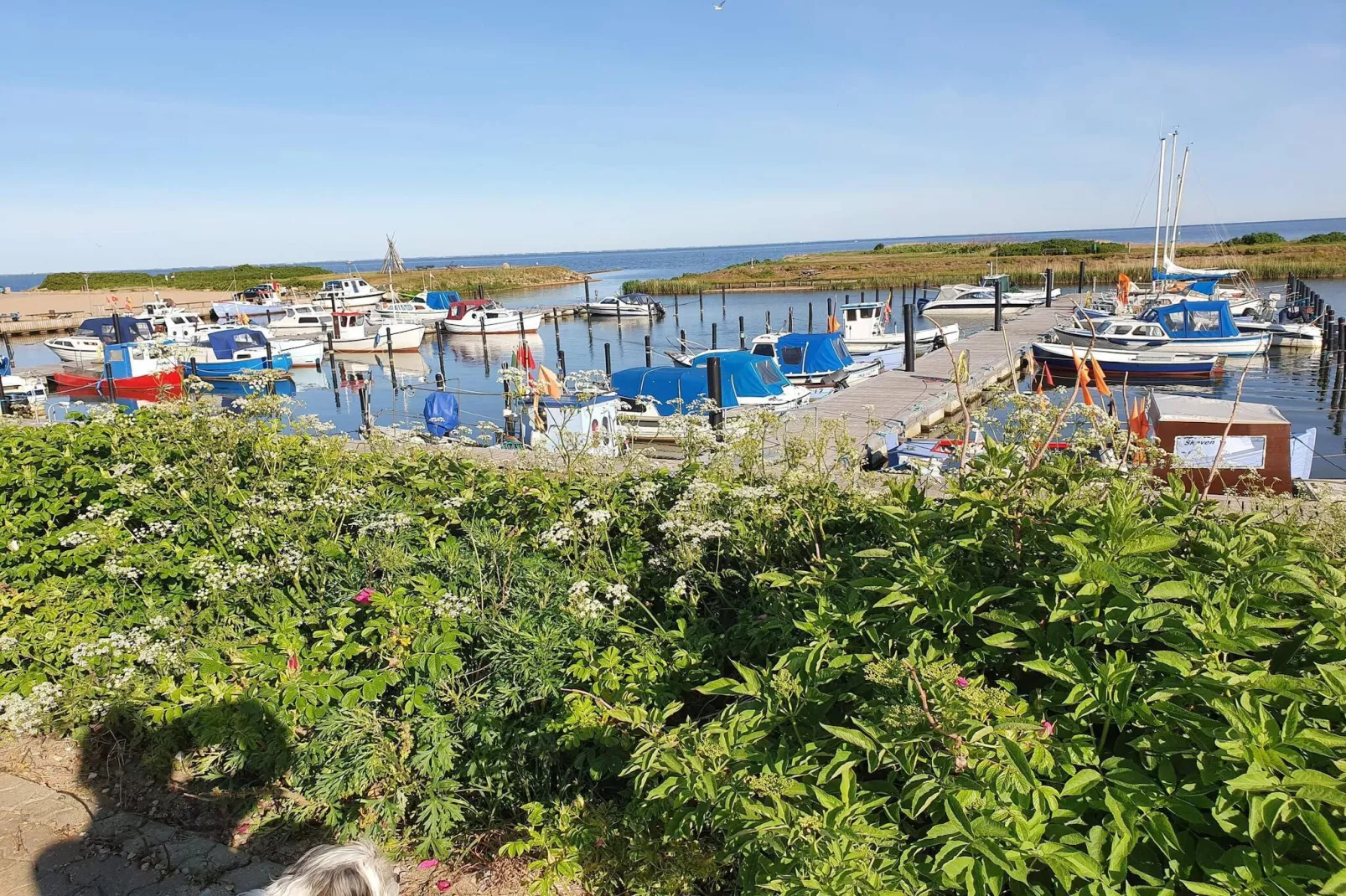 Maison de vacances pour 5 a Tarm-By Traum-Vue sur l'eau