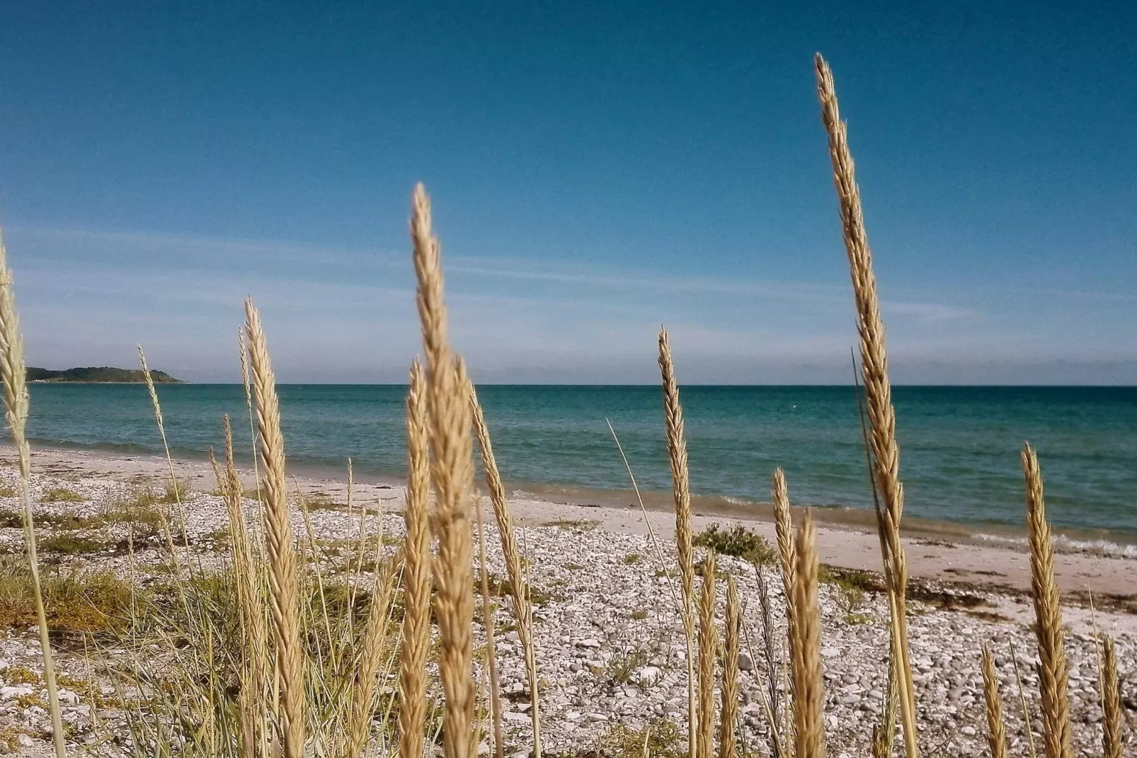 Maison de vacances pour 4 a Ebeltoft-By Traum-Vue sur l'eau