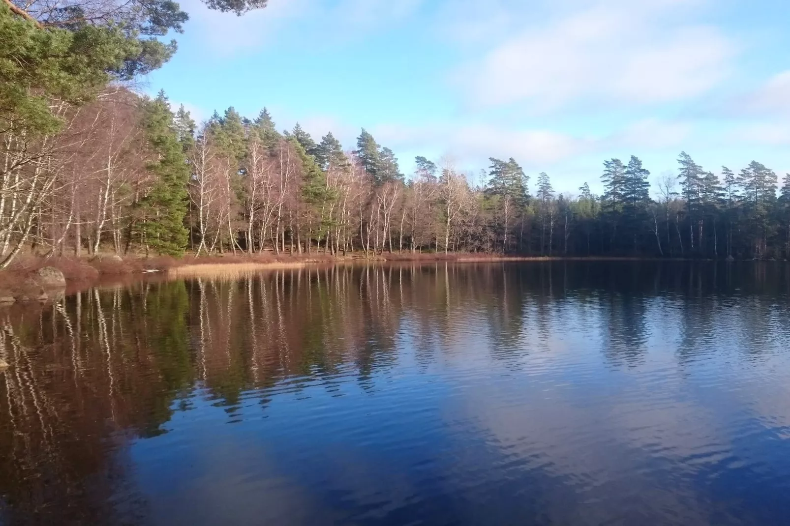 4 person holiday home in Holmsjö-By Traum-Water view