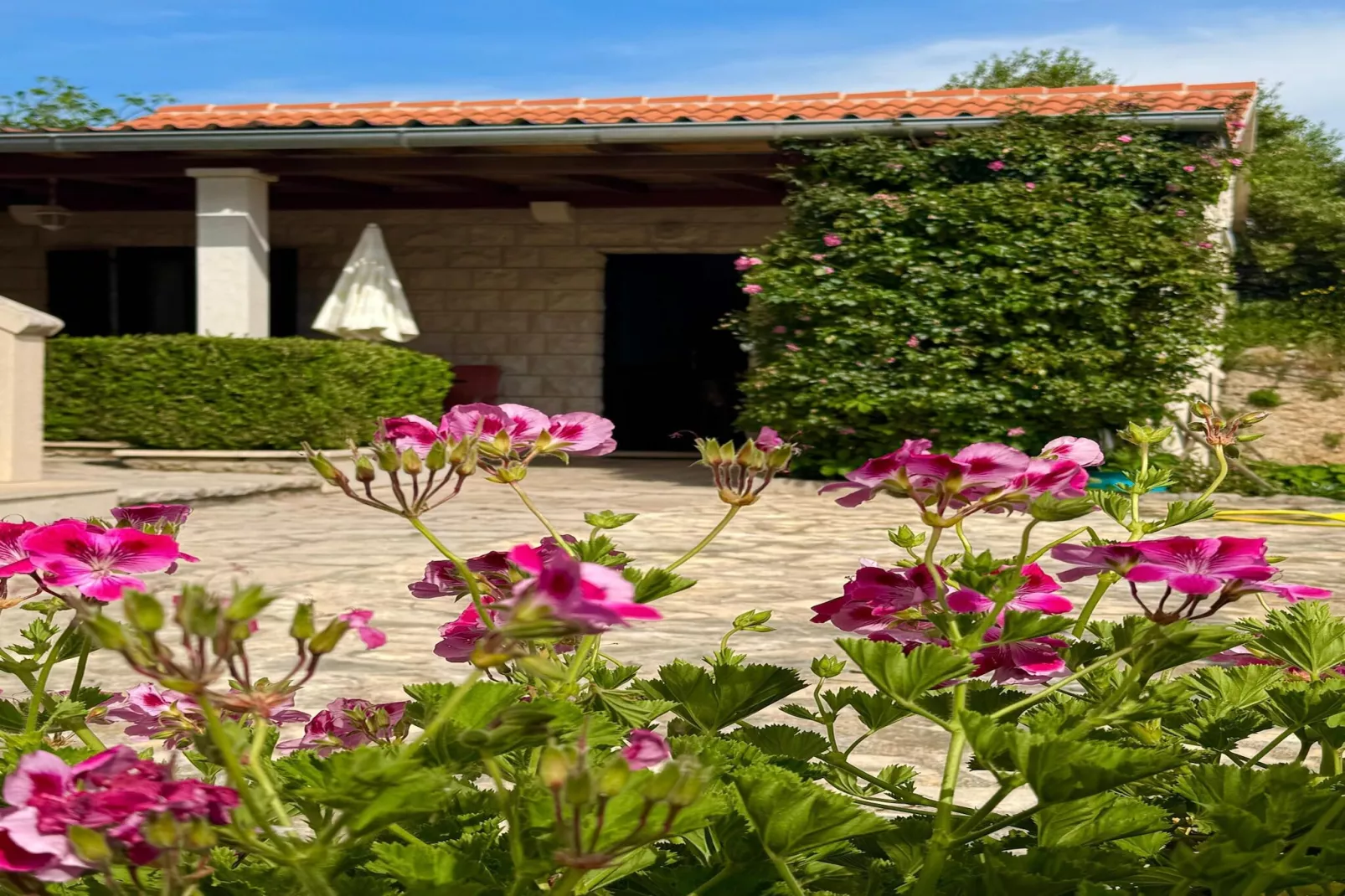 Apartments Magdalena - Bungalow with terrace (A1)-Terrace