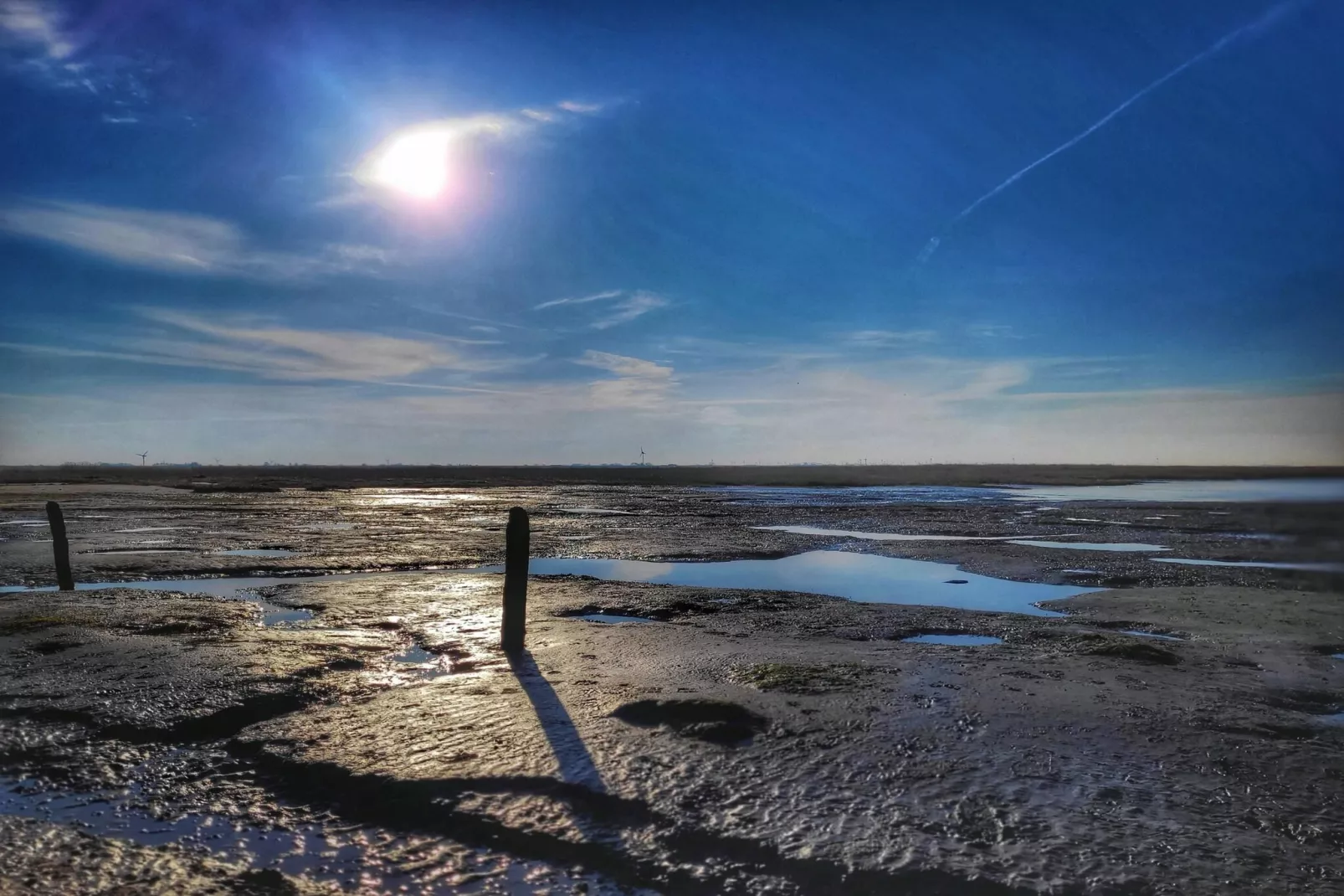 Ferienhaus 06 Marintje-Areas within 5km in summer