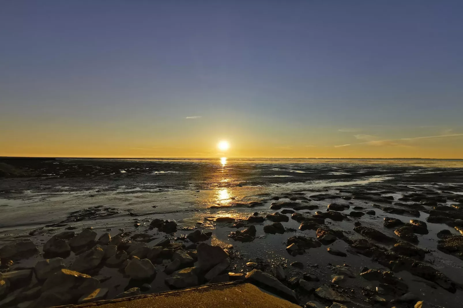 Doppelhaushälfte Nordseerose 125-Areas within 5km in summer