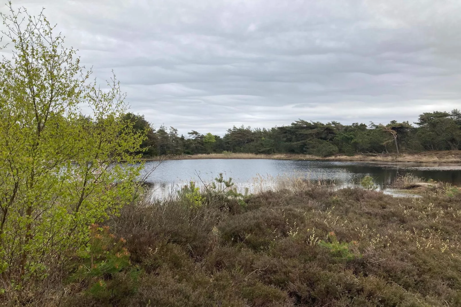 5 Sterne Ferienhaus in Rømø-Wasserblick