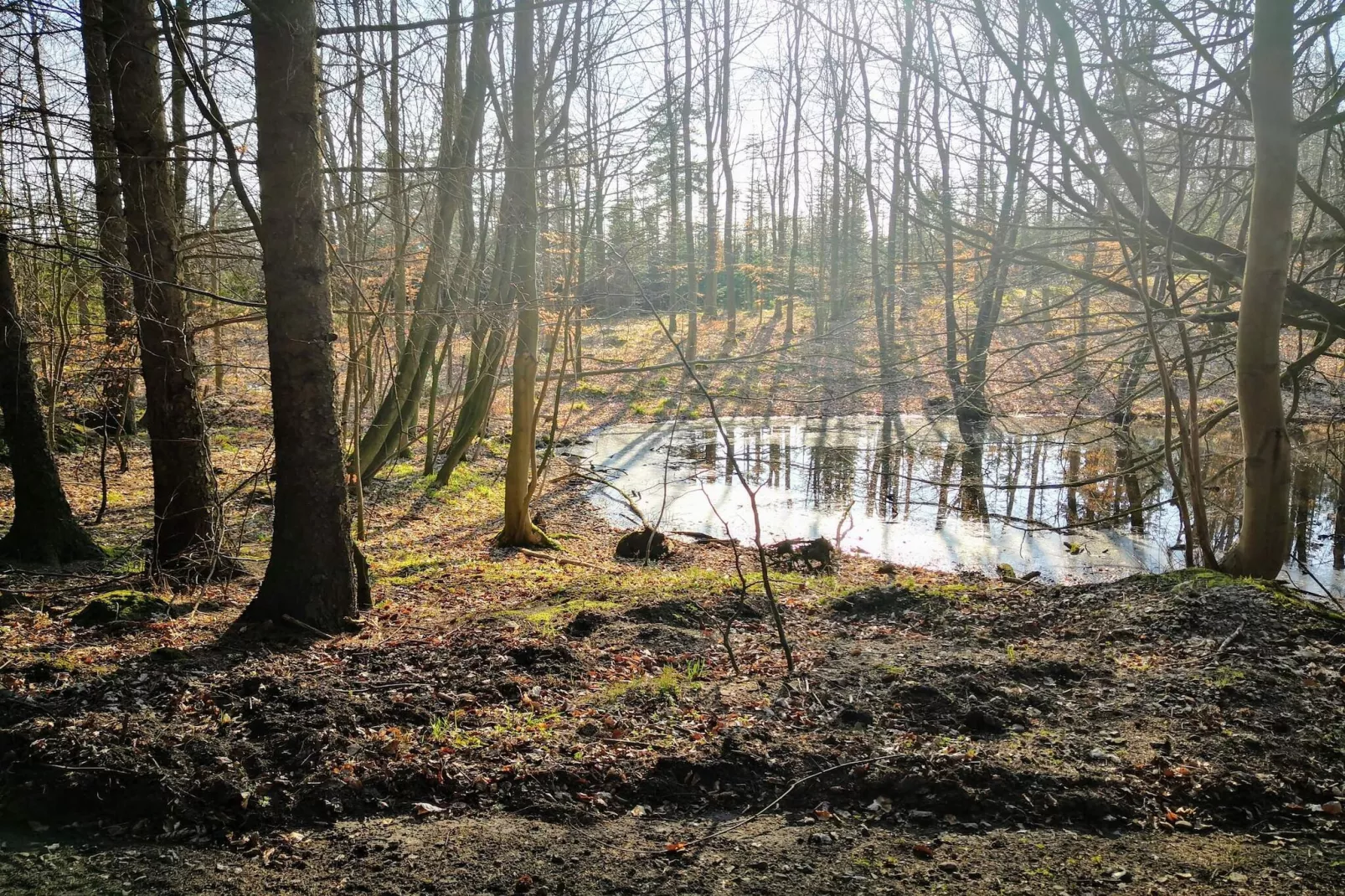 Well-maintained holiday home in Faborg-Water view