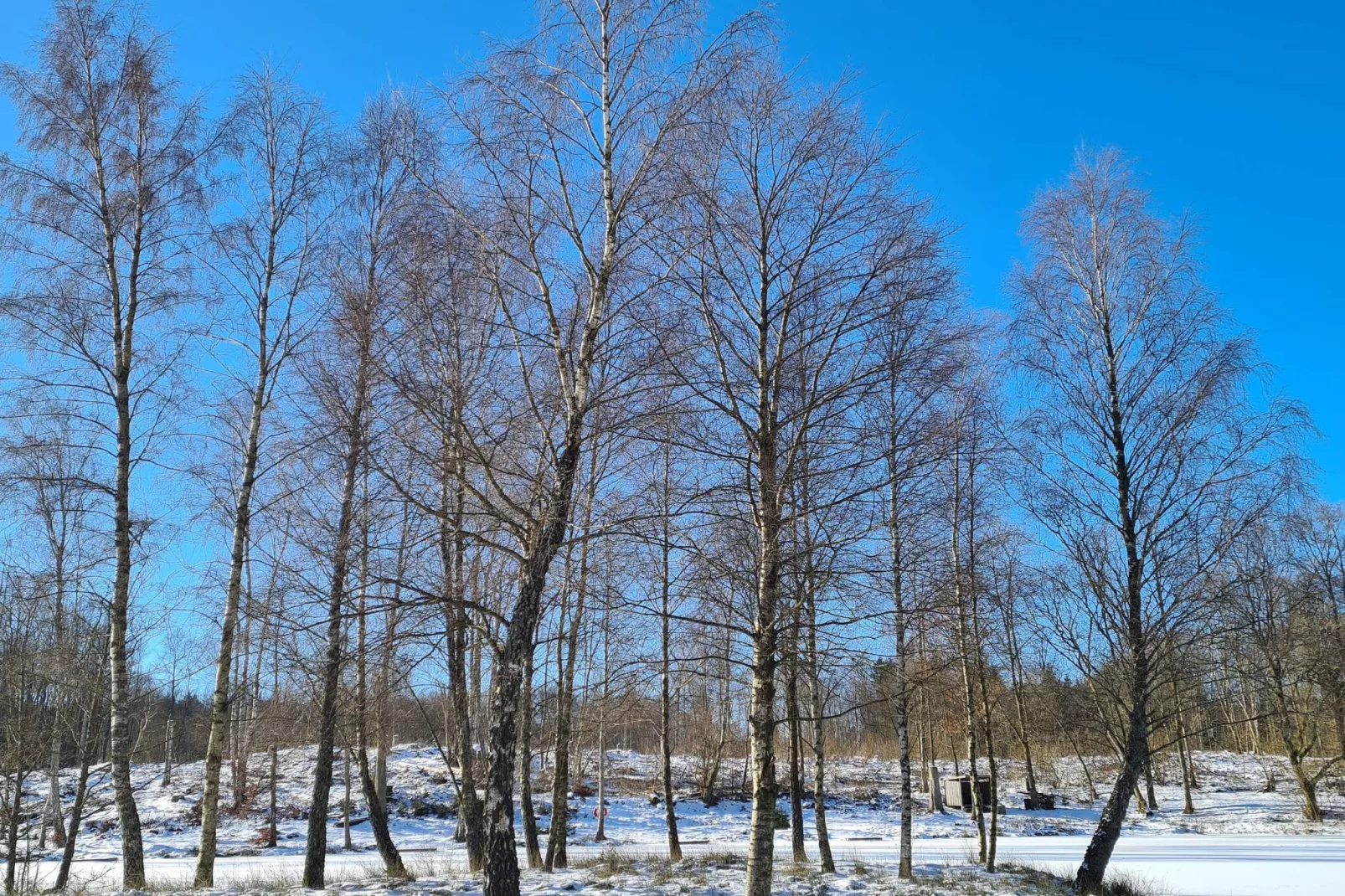 4 person holiday home in Hoor-Untagged