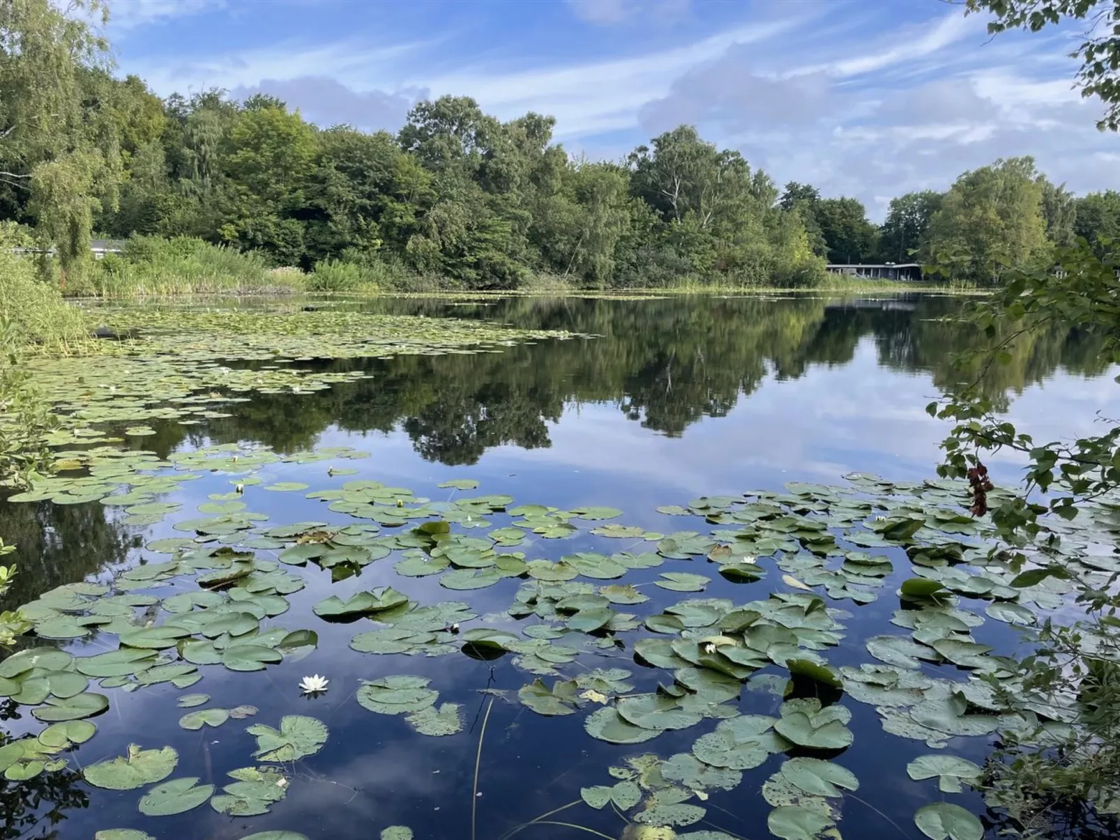 "Iolani" - 1.3km from the sea-Dehors