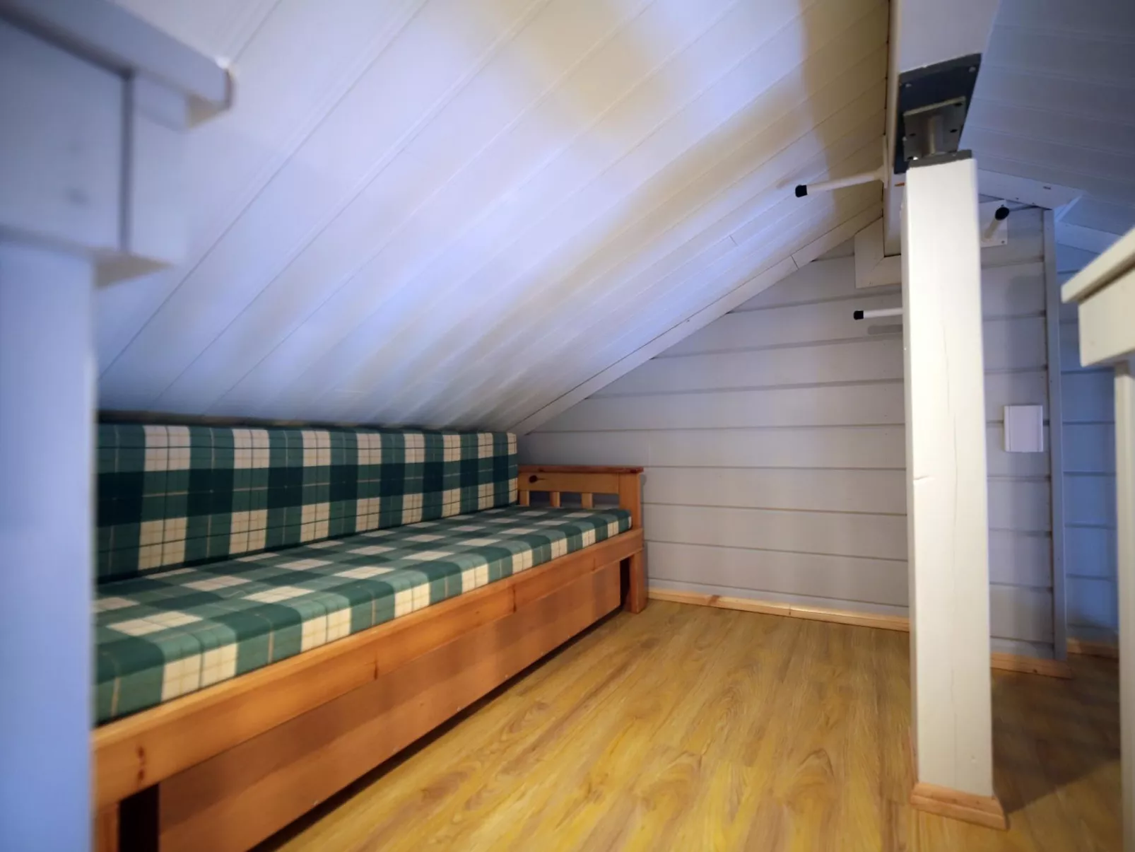 Tunturikoivu b2-Dedans