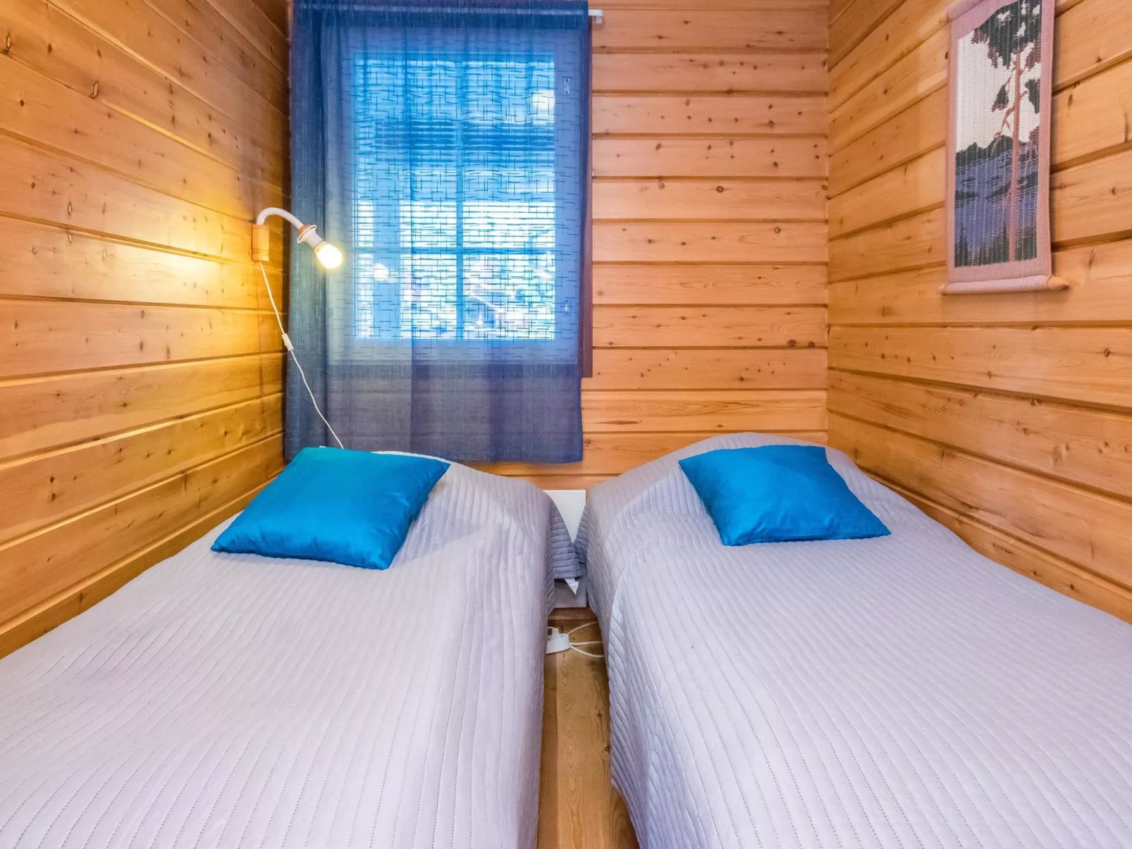 Hirvasaho b 2-Dedans