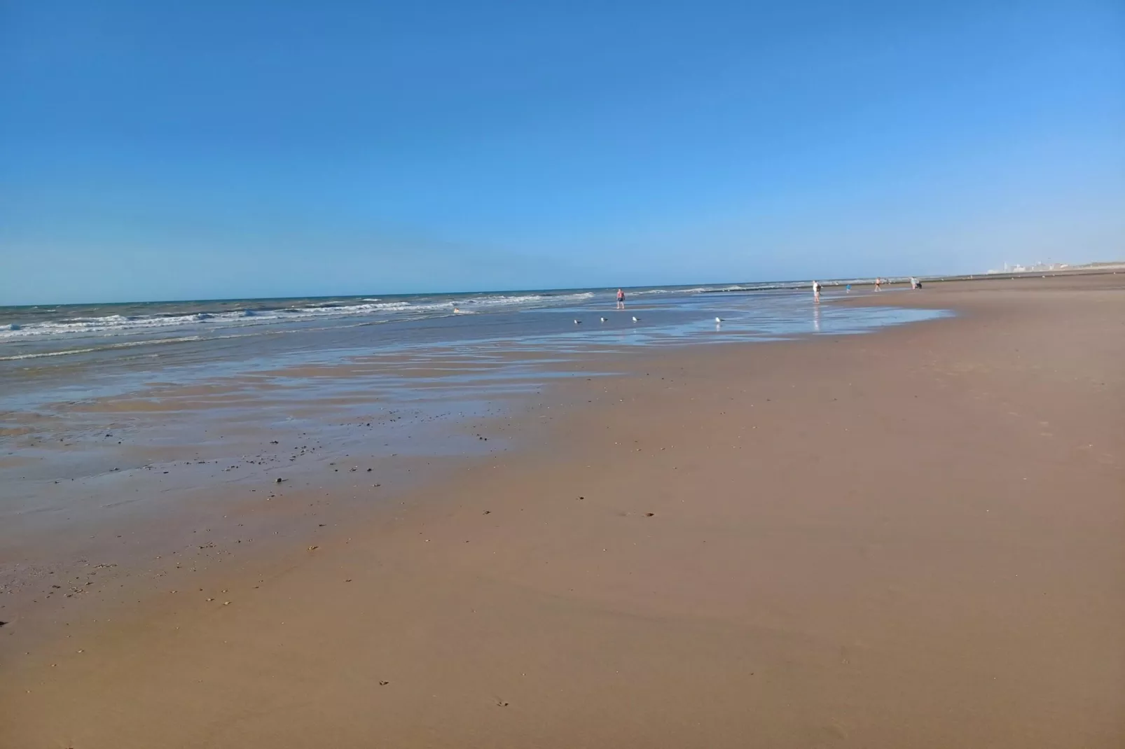 De Rede-Areas within 5km in summer