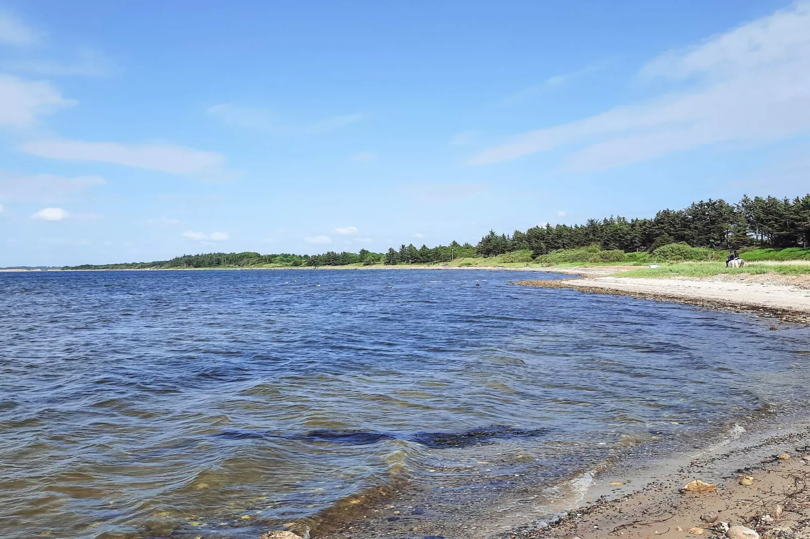 6 person holiday home in Spøttrup-Water view