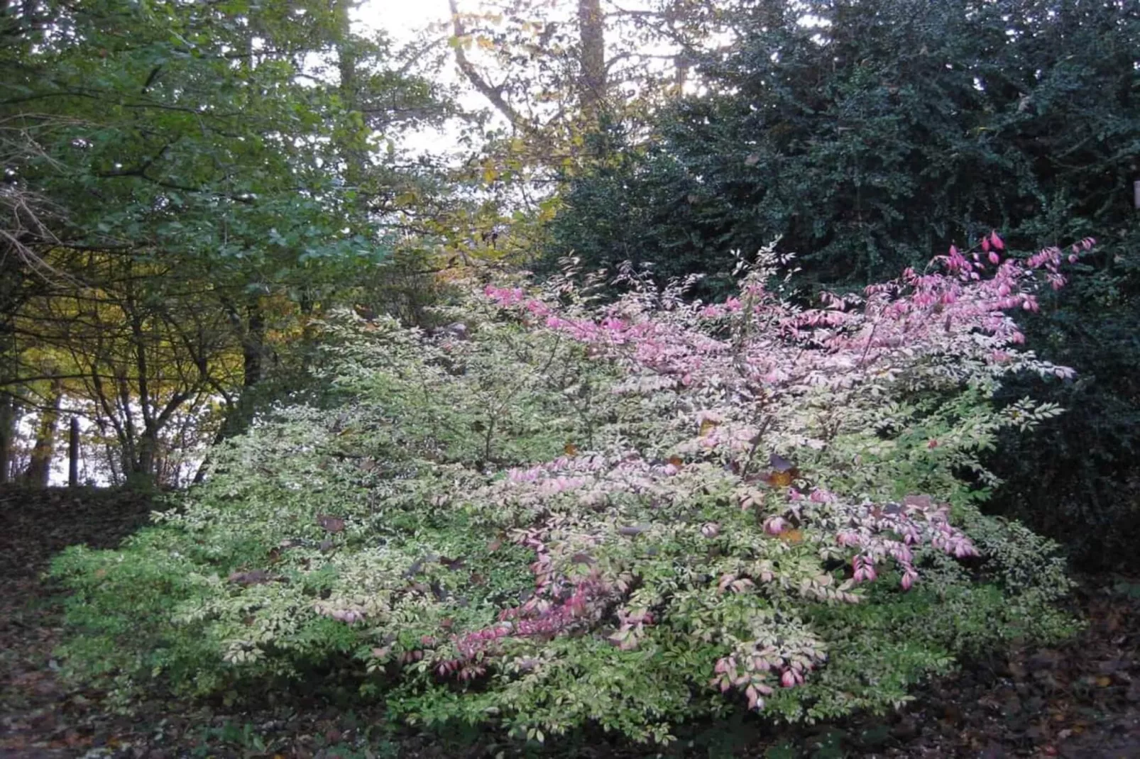 4 etoiles maison de vacances a Vedbæk-Non tagué