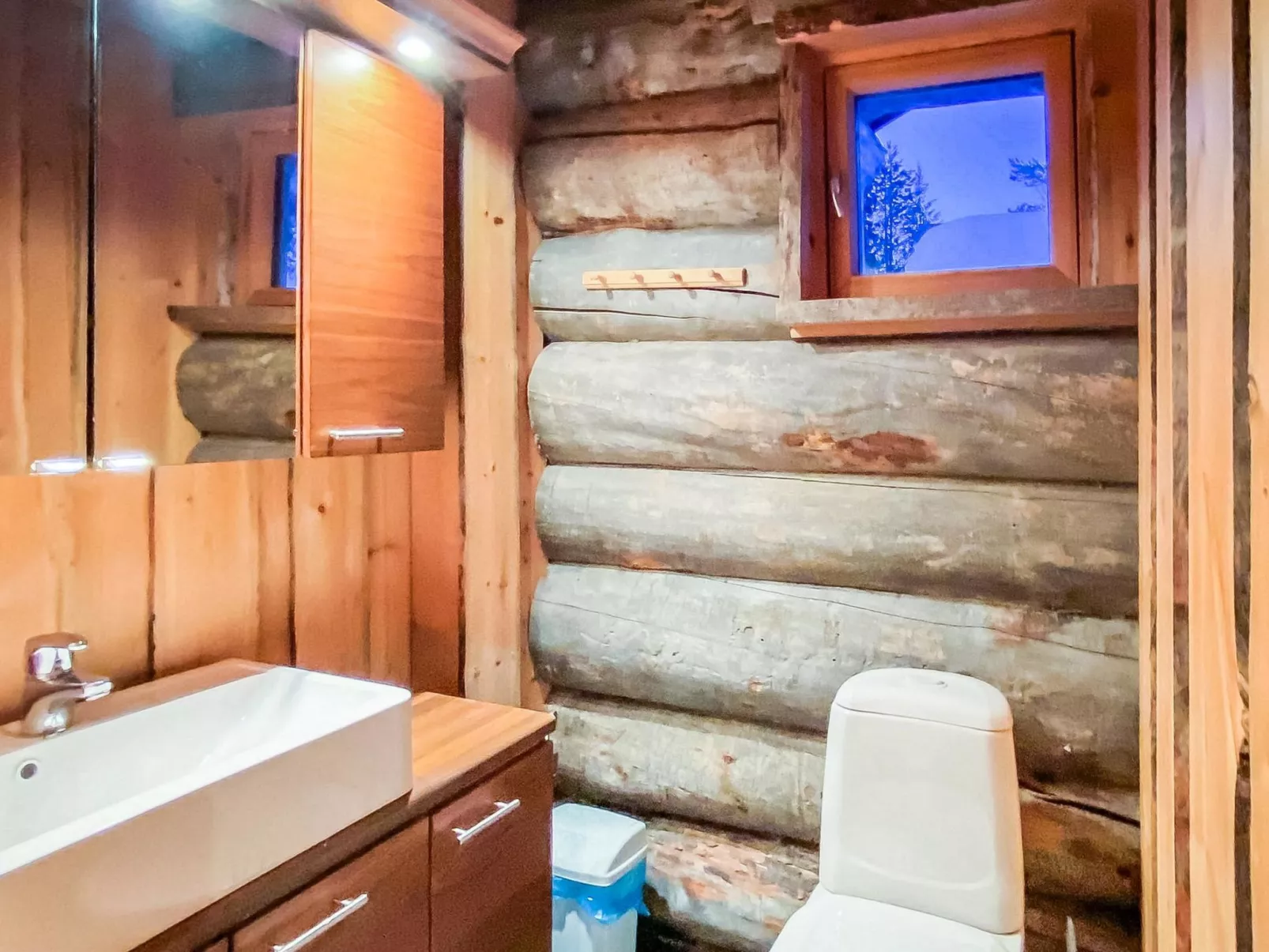 Riekonkätkä-Dedans