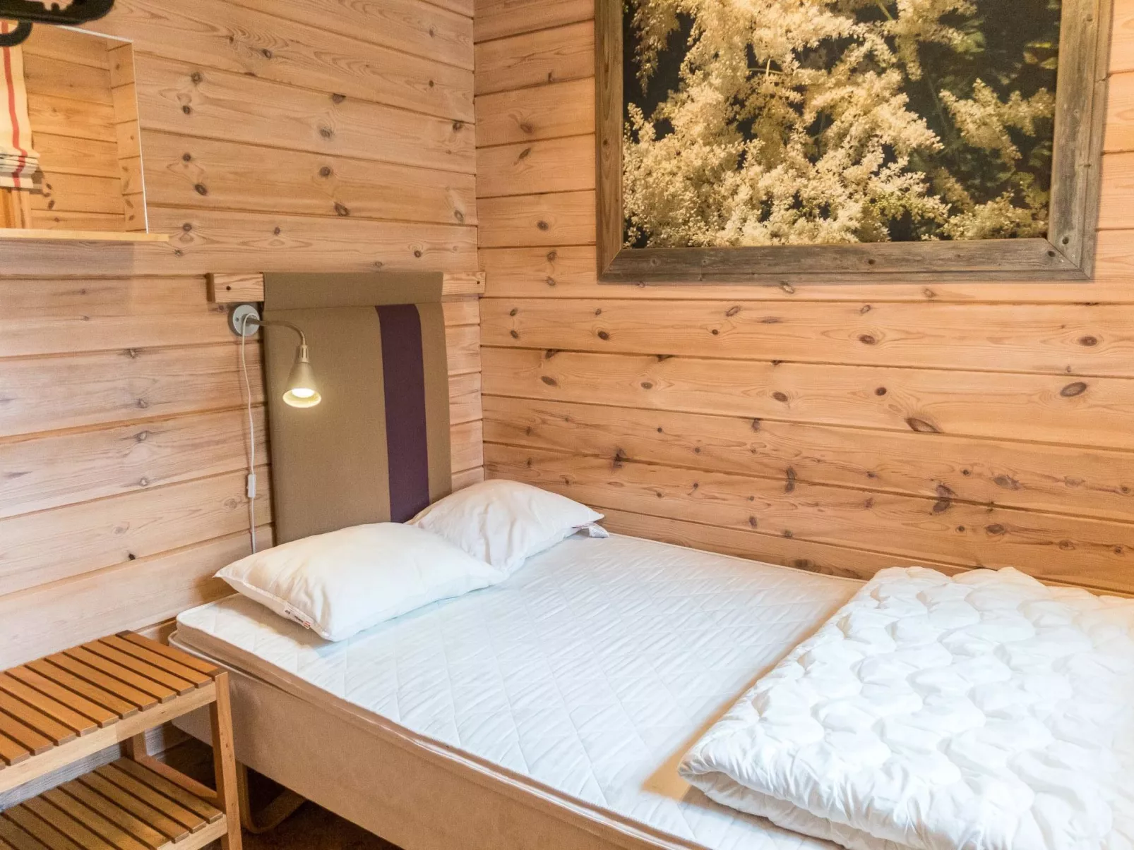 Villa koira nr3-Inside