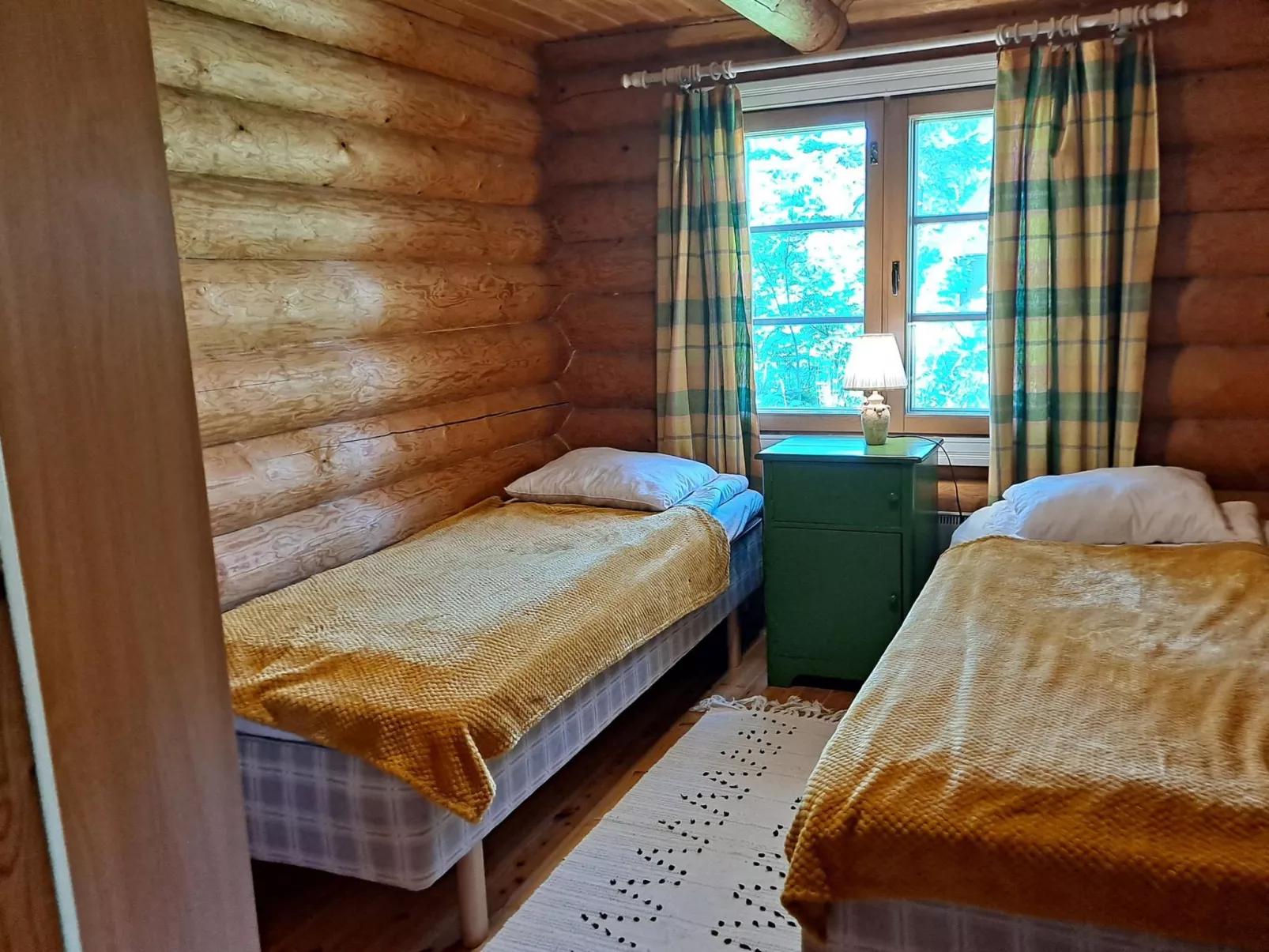 Haapaniemi, cjoe020-Dedans