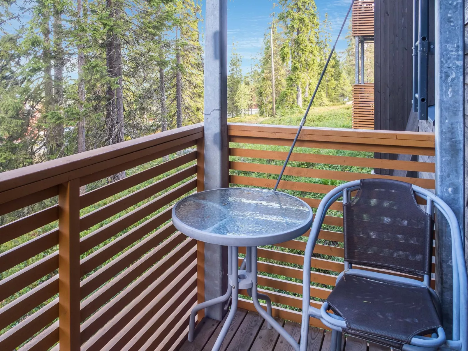 Karhunvartijan pirtti c1-Dedans