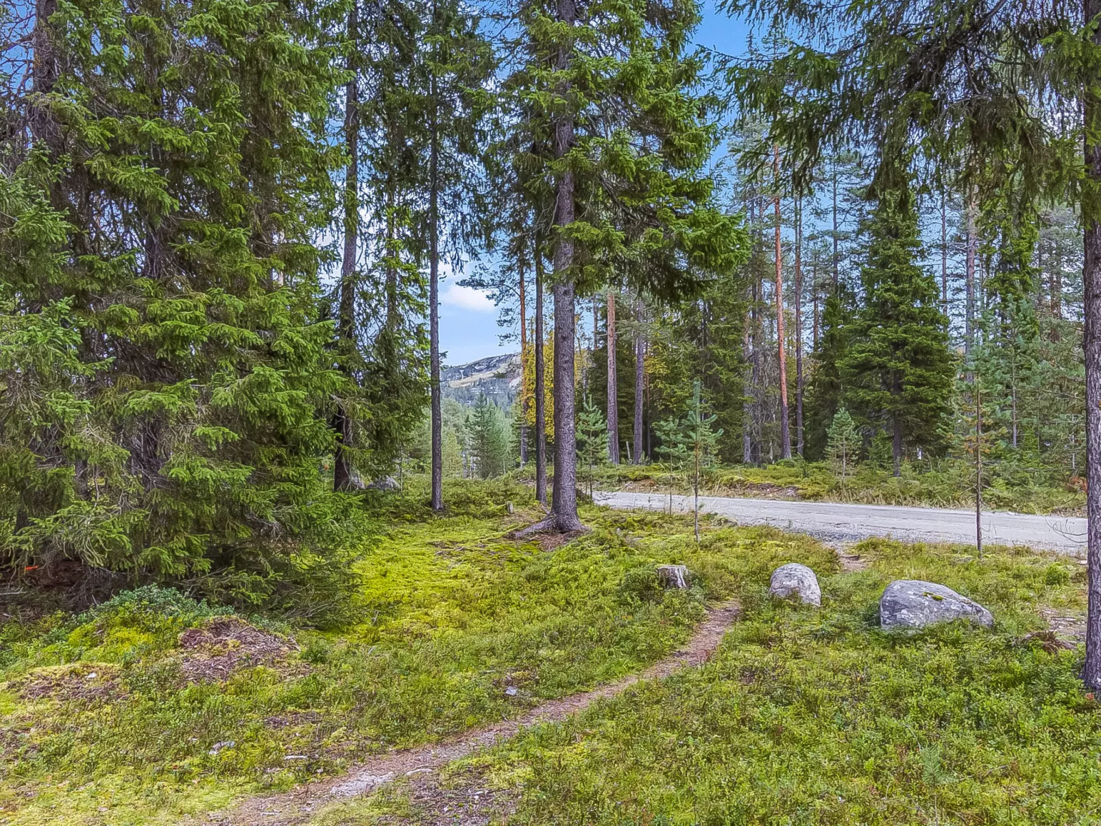 Kuusi-ruka 6-Drinnen