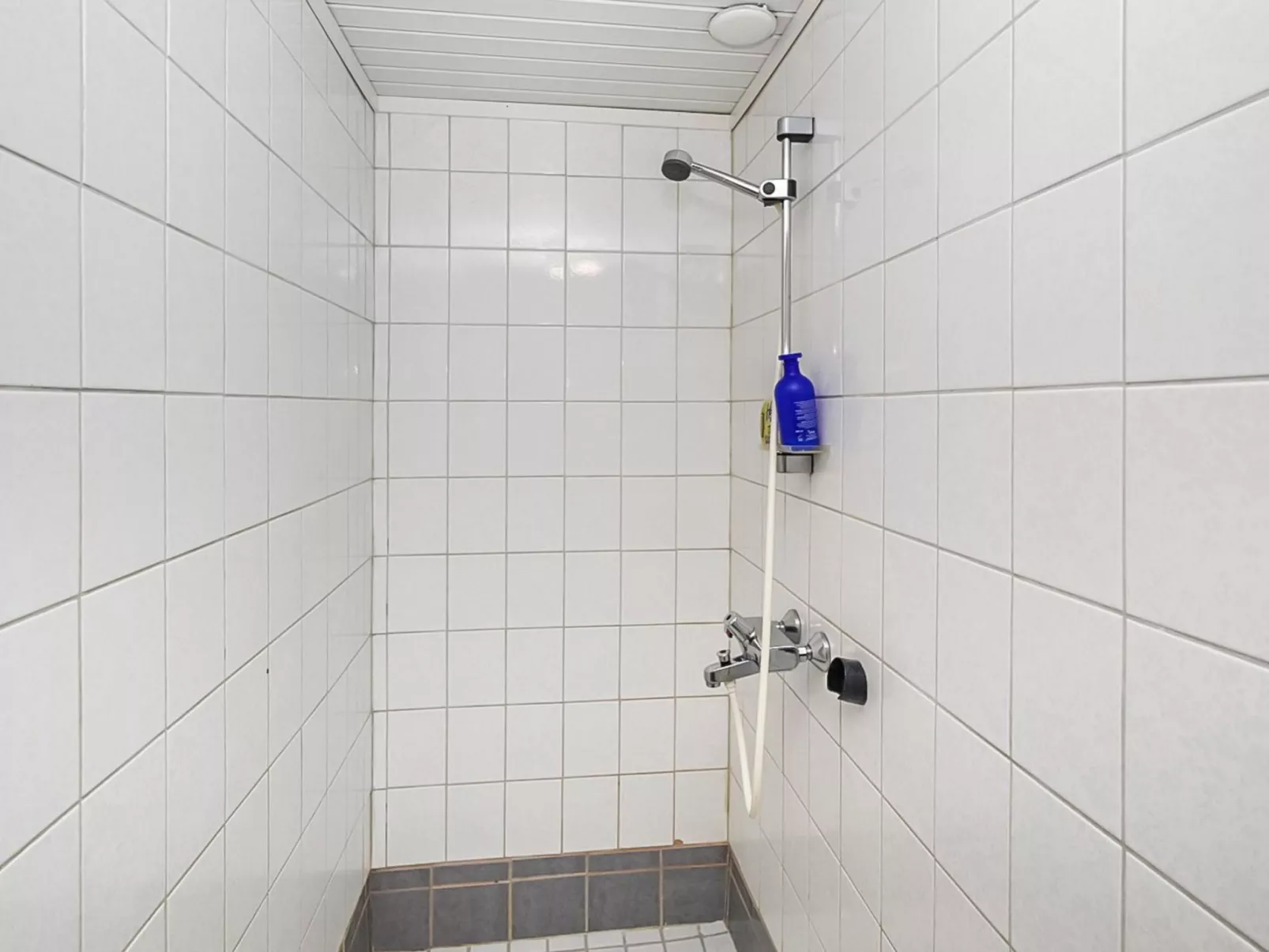 Saapunkijärvi, pitkäperä-Dedans