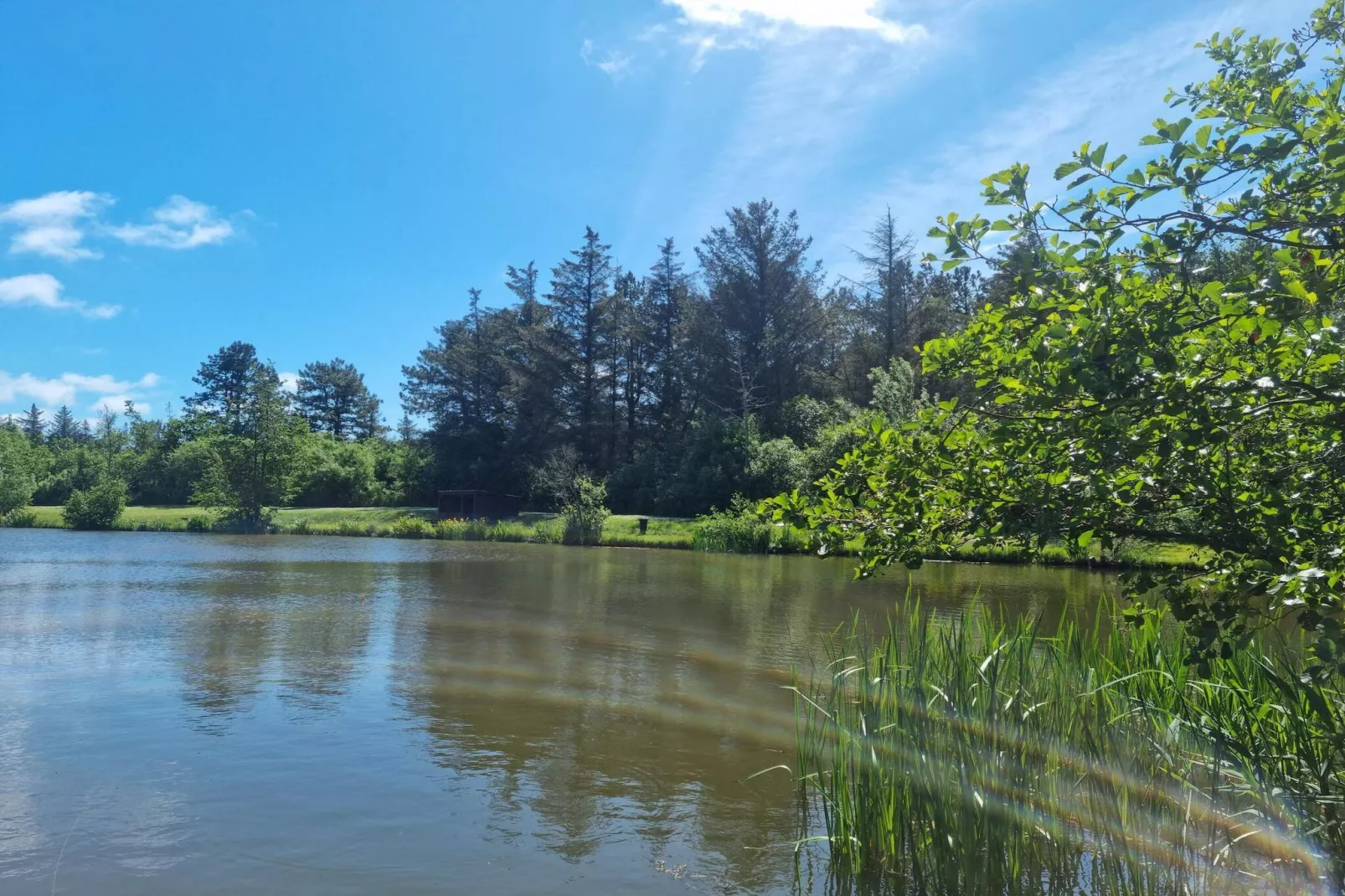4 star holiday home in Løkken-Water view