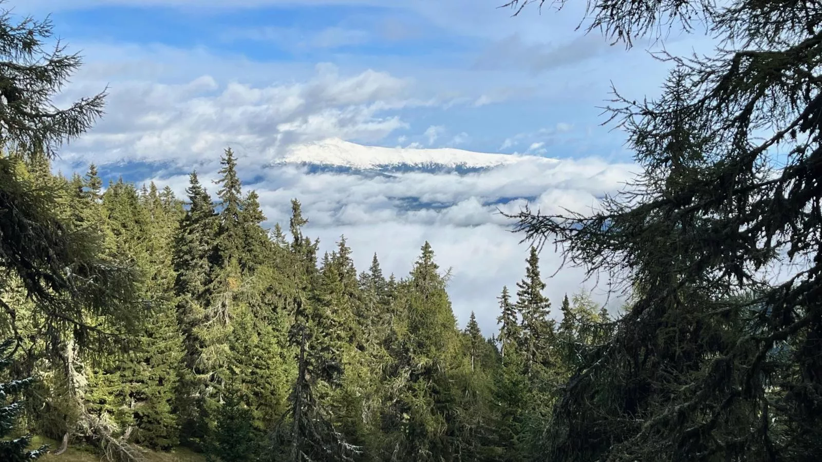 Gipfelglück-Gebiet Winter 5 km