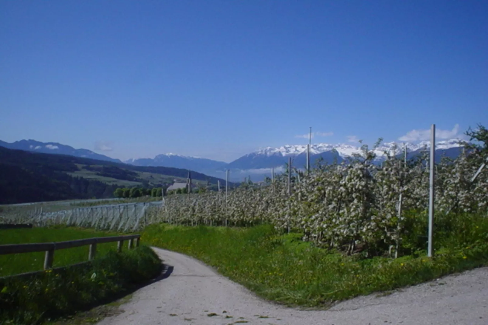 Renetta Mansarda-Areas within 5km in summer