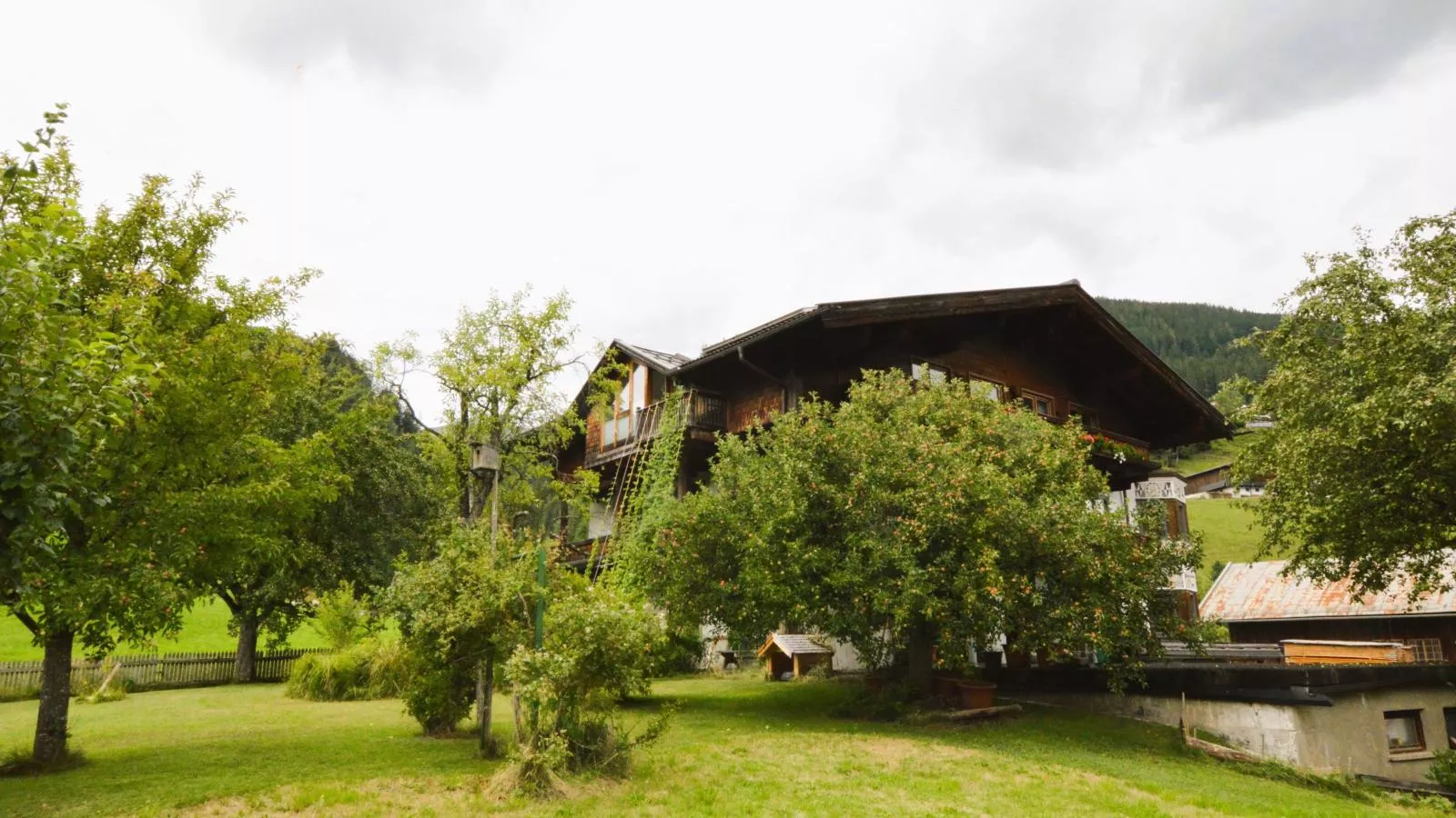 Kaiser-Exterior in summer