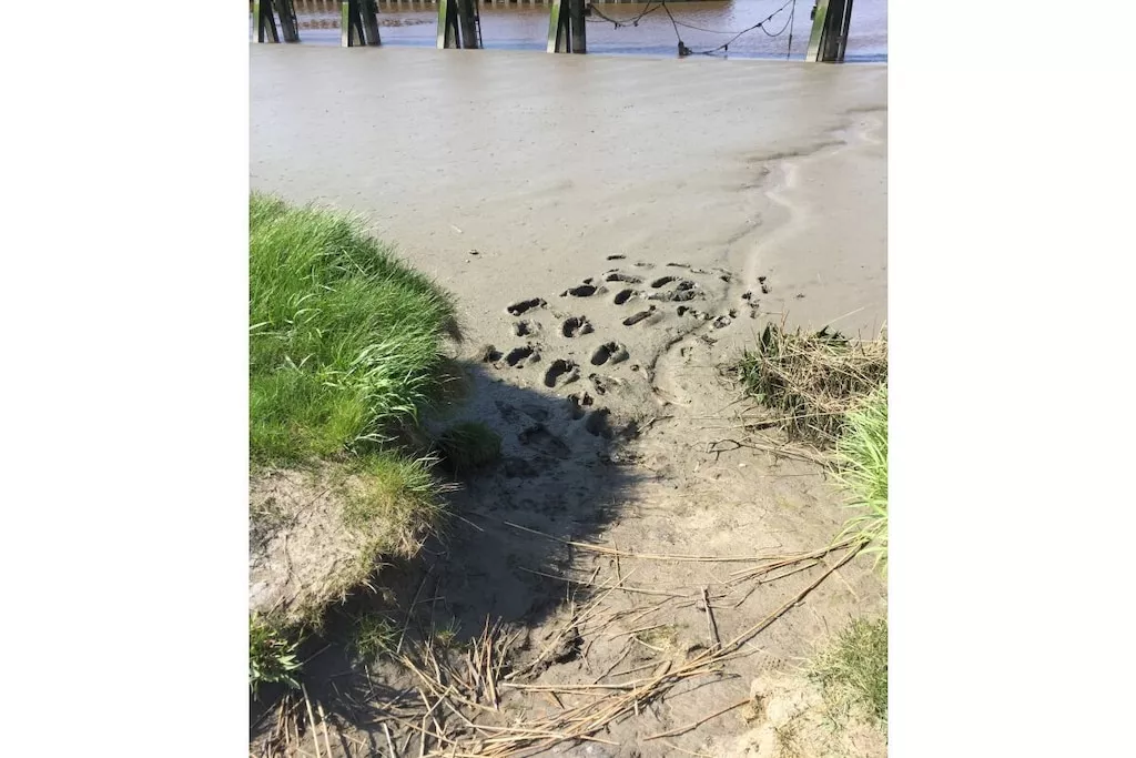 411188-Nicht zugeordnet