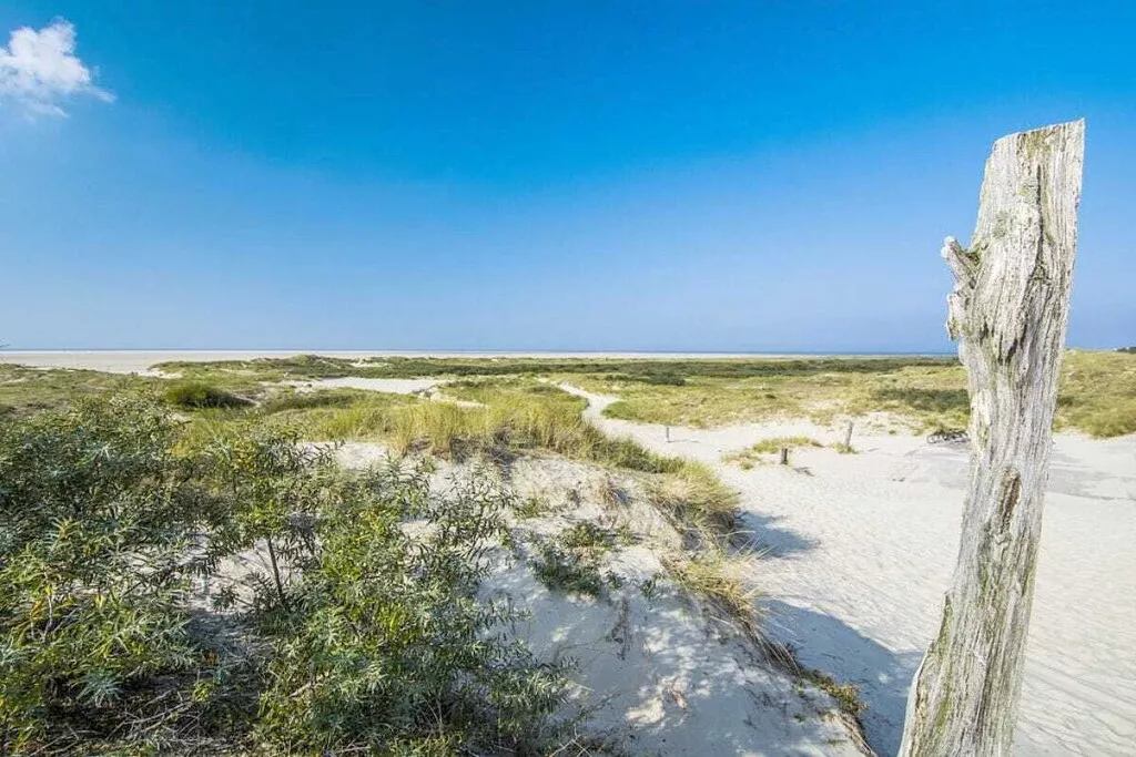 75891-Nicht zugeordnet