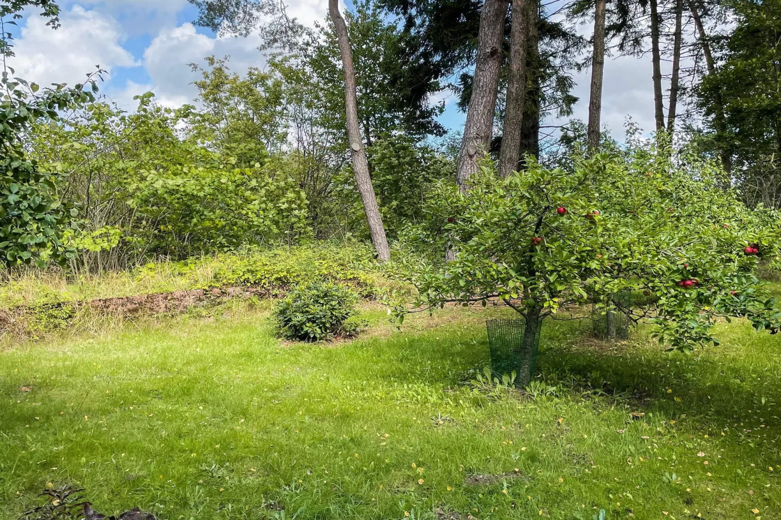 Maison de vacances pour 4 a SMEDSTORP