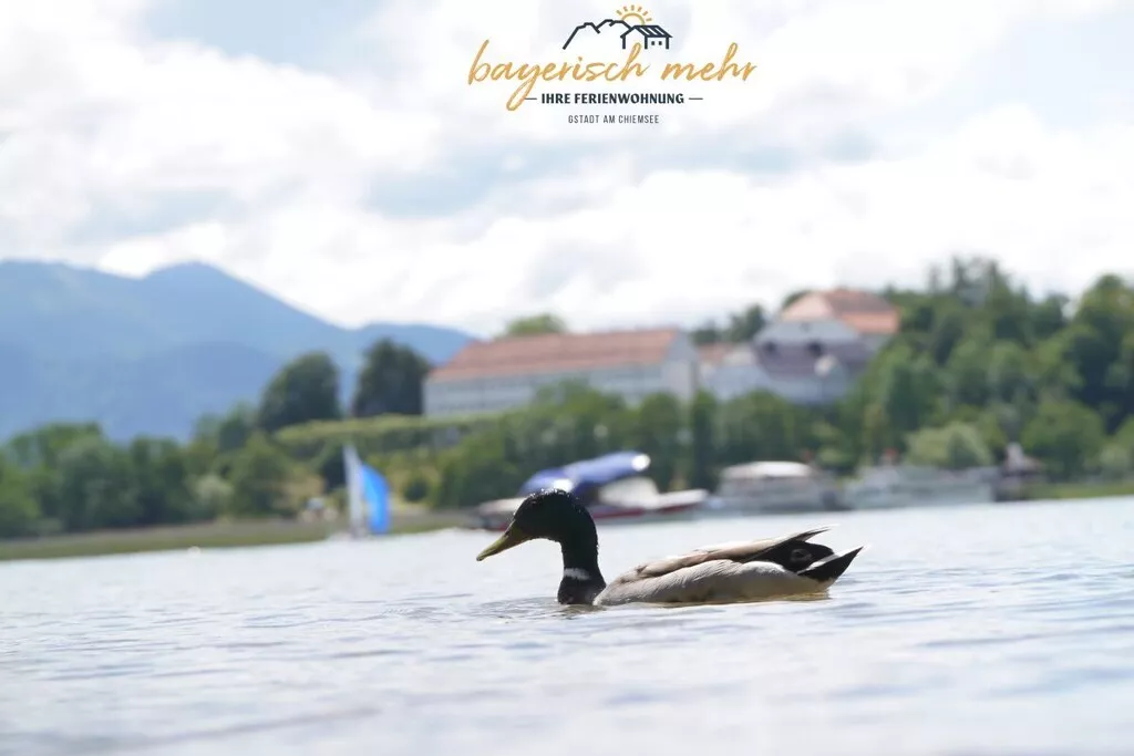 374906-Nicht zugeordnet