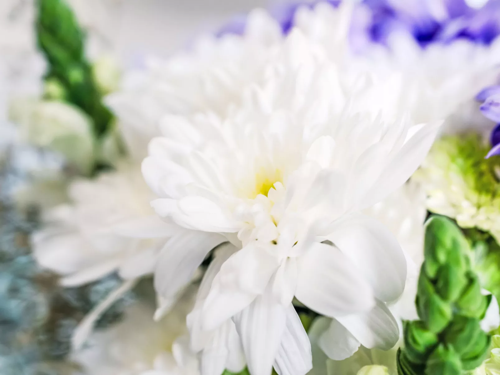 Pine Needle Lodge-Dedans