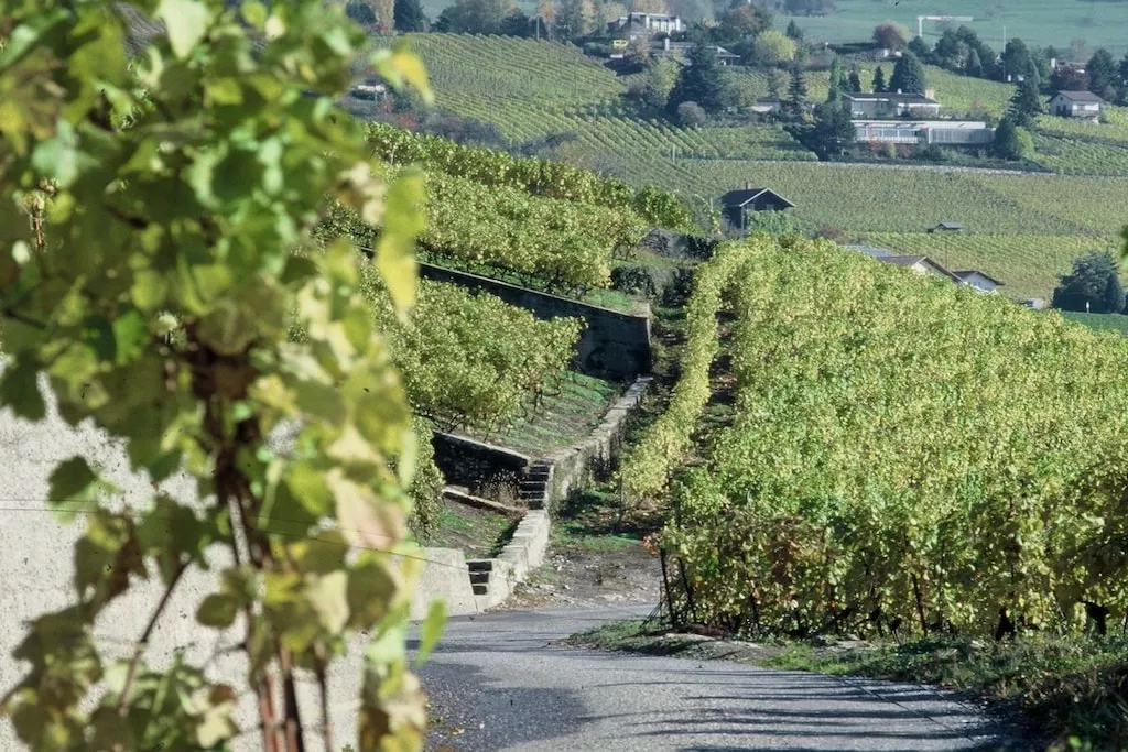 194679-Nicht zugeordnet