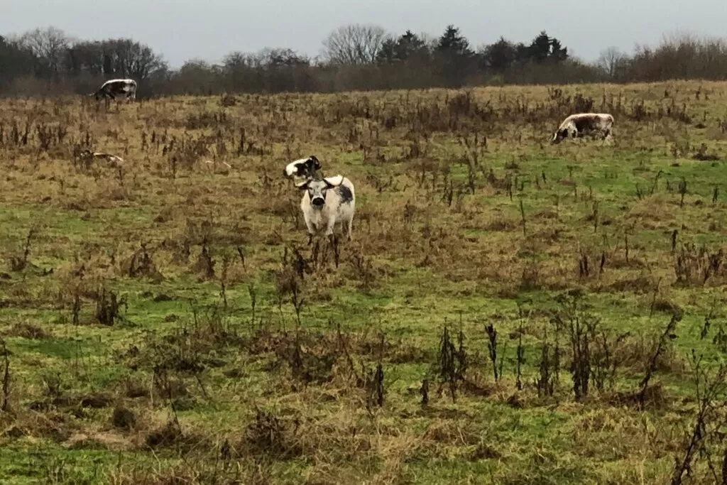 581116-Nicht zugeordnet