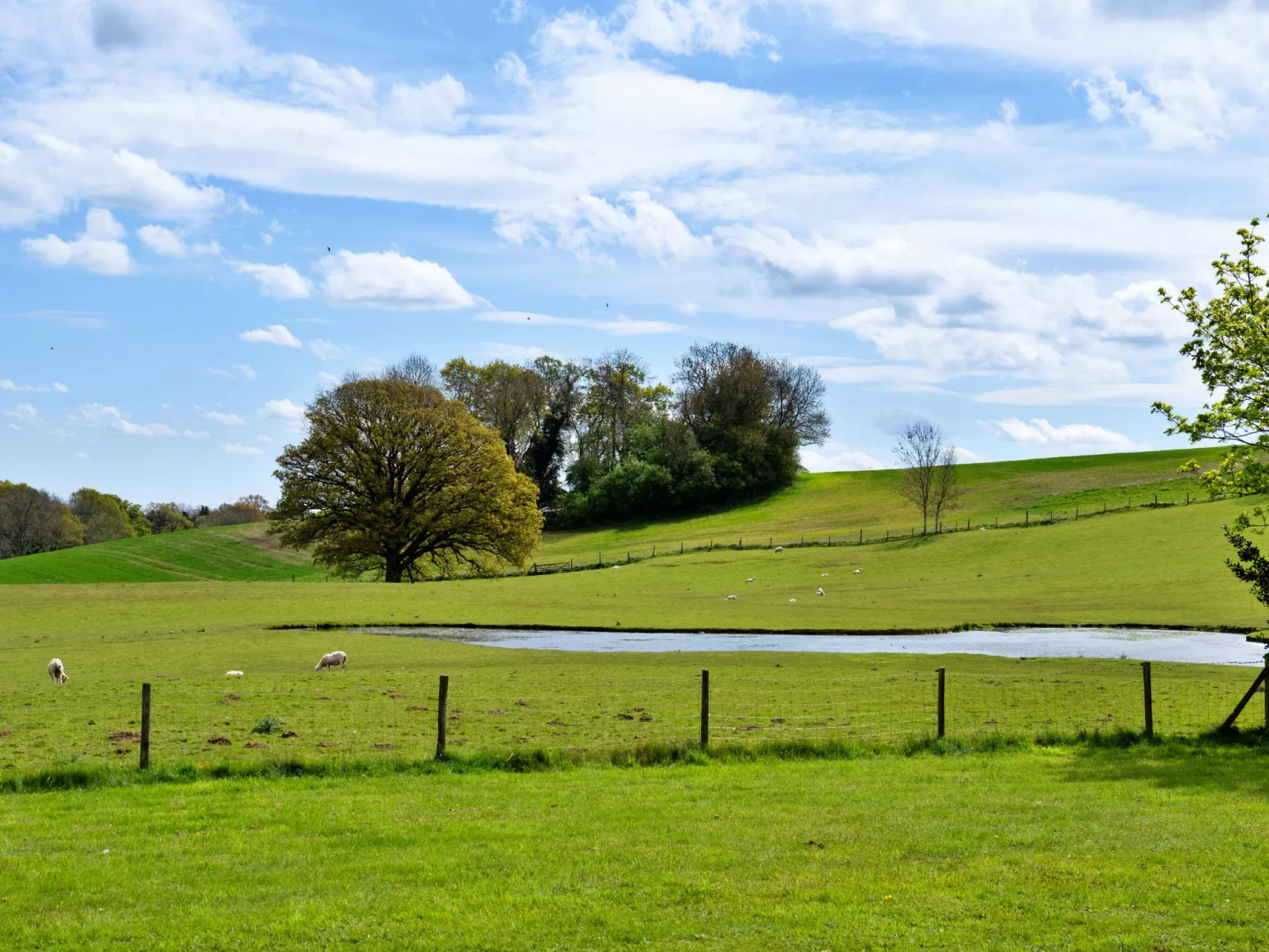 Hay and Hedgerow Glamping-Dehors