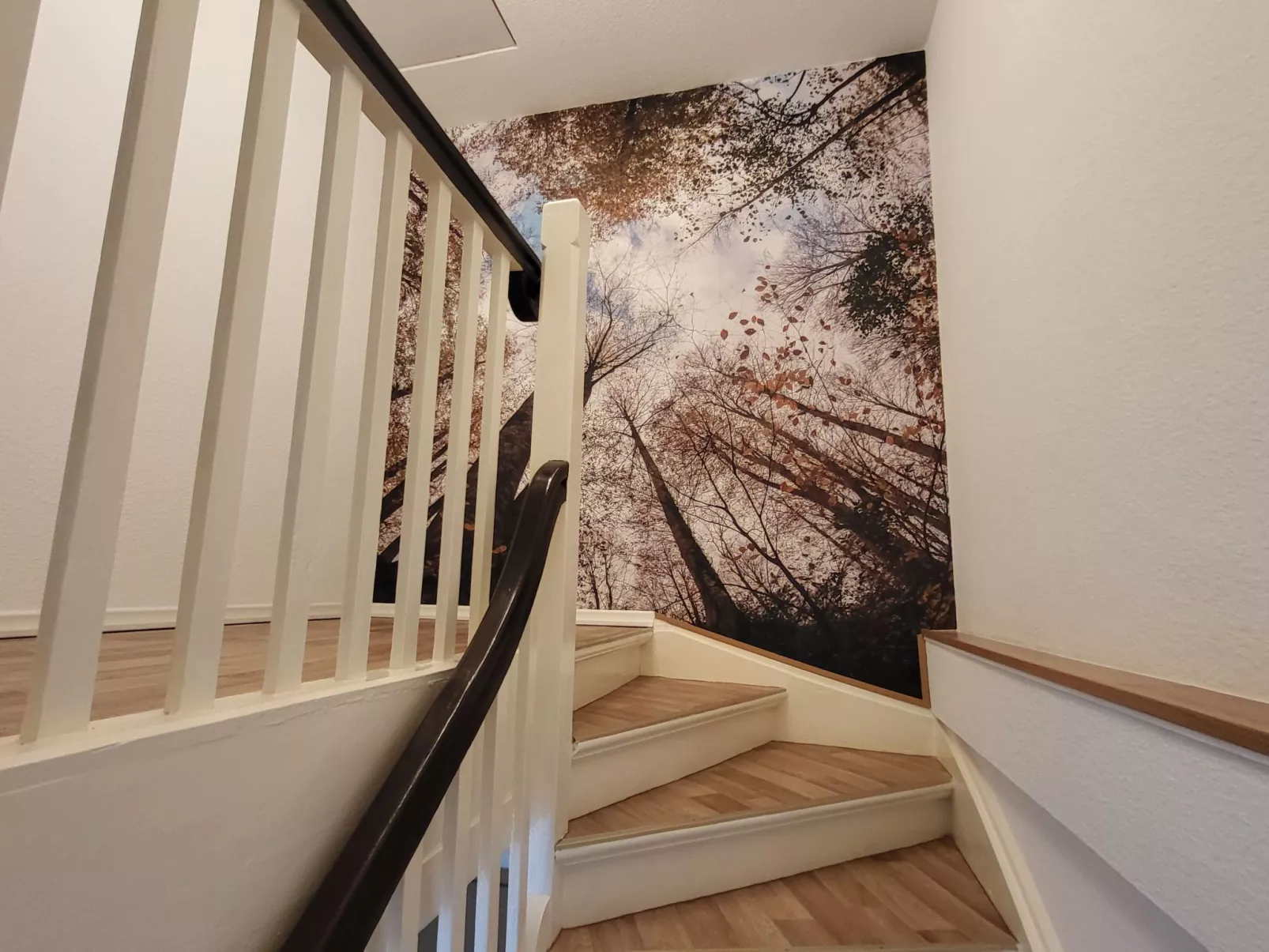 Ferienwohnung Bernburg-Dehors