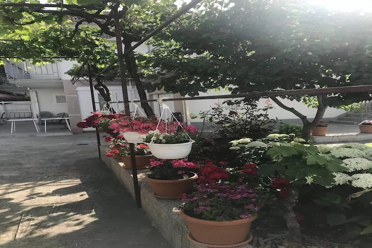 Apartments Villa Tanja - Two Bedroom Apartment with Terrace-Gardens in summer