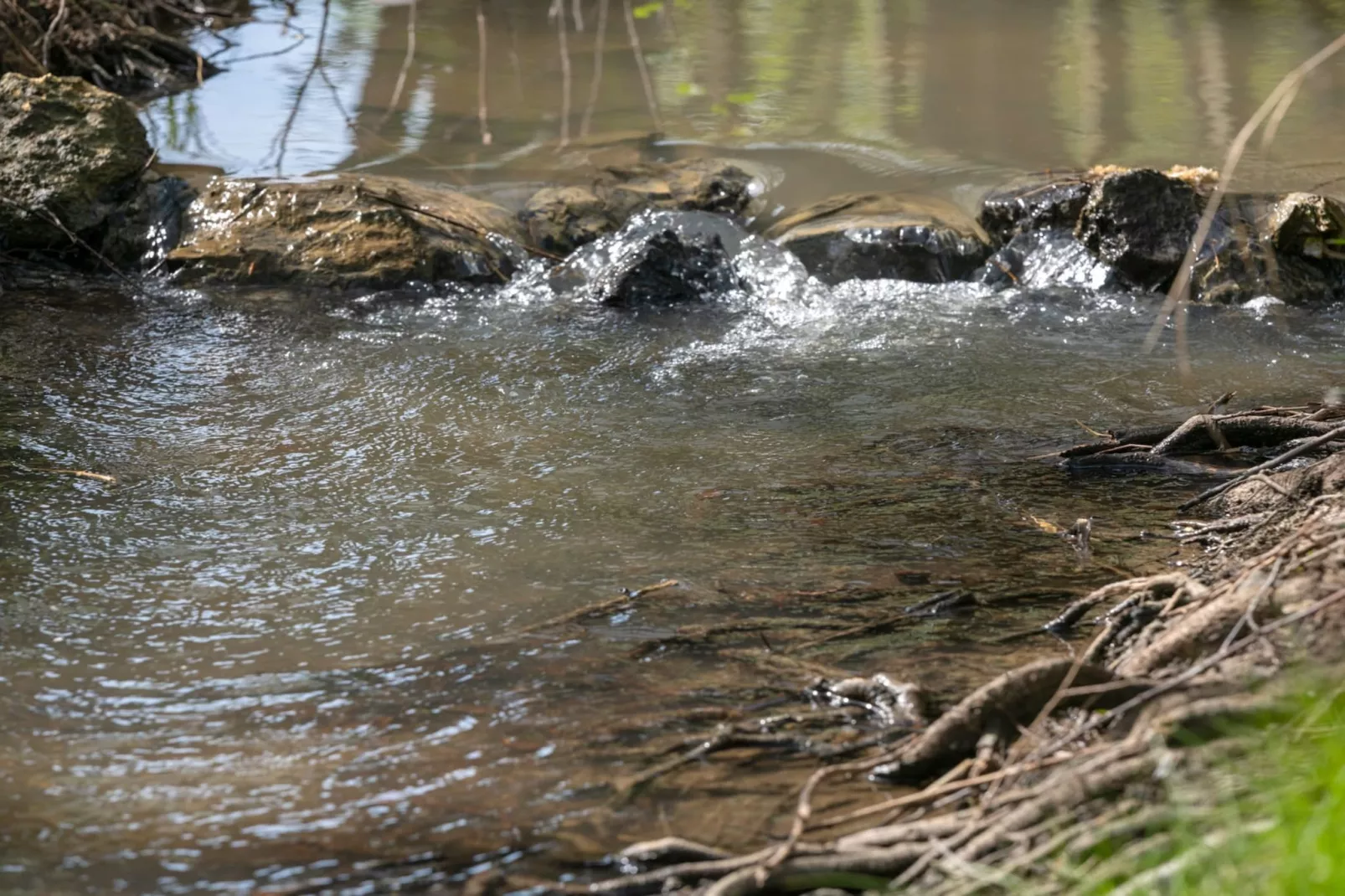 Robinzonski Kamp Hofman - Private Bungalow-Extérieur