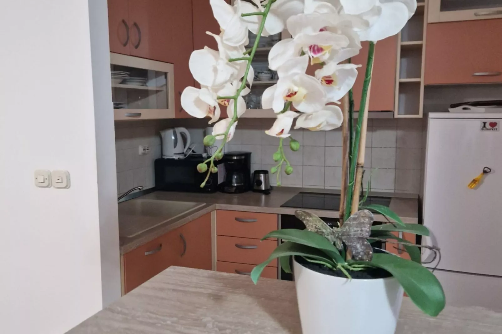 Apartment Antonia Trogir - Two-Bedroom Apartment With Sea View-Kitchen