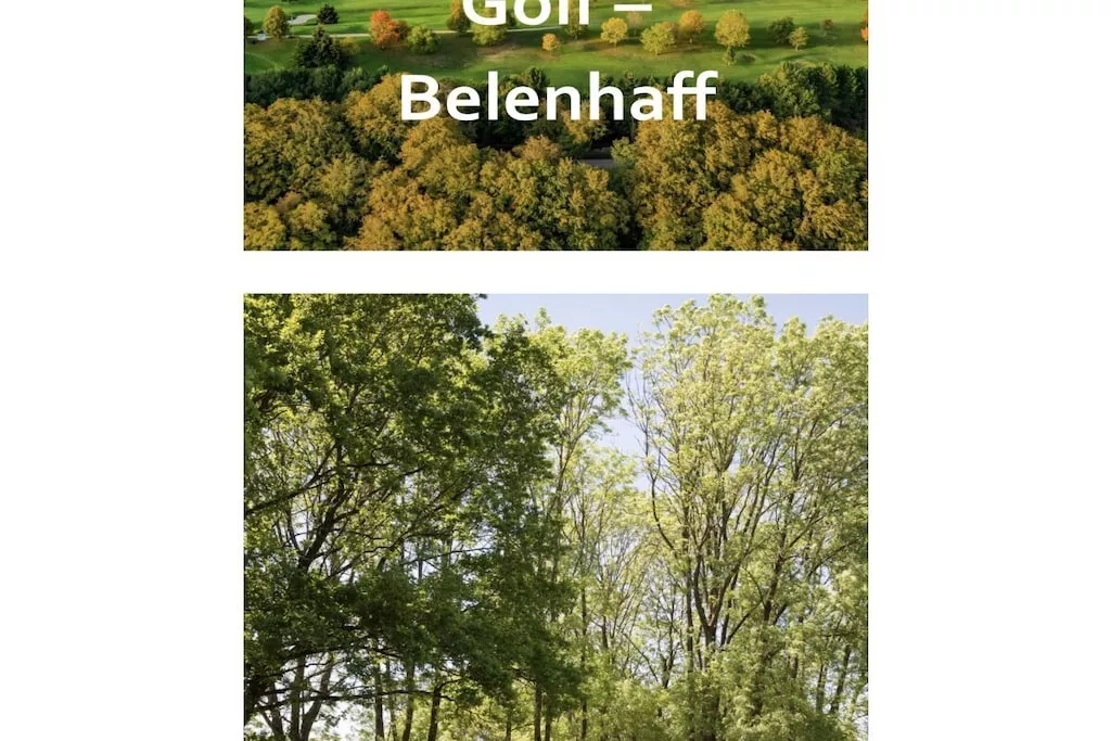 582515-Nicht zugeordnet