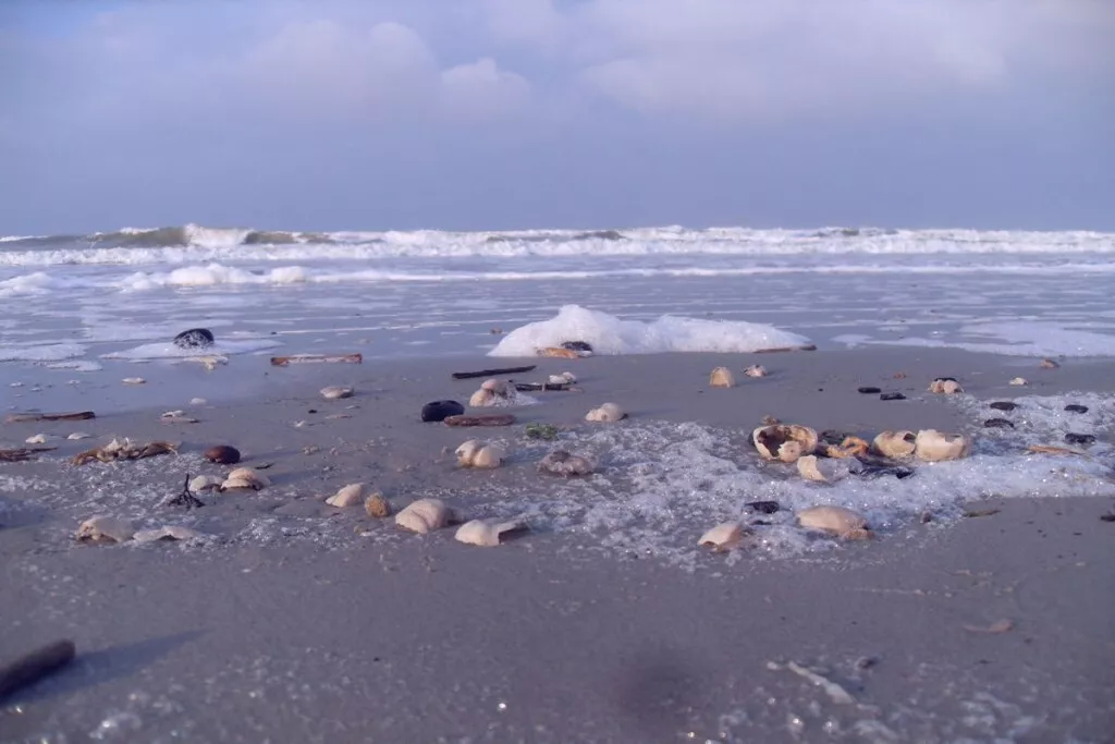 44615-Nicht zugeordnet