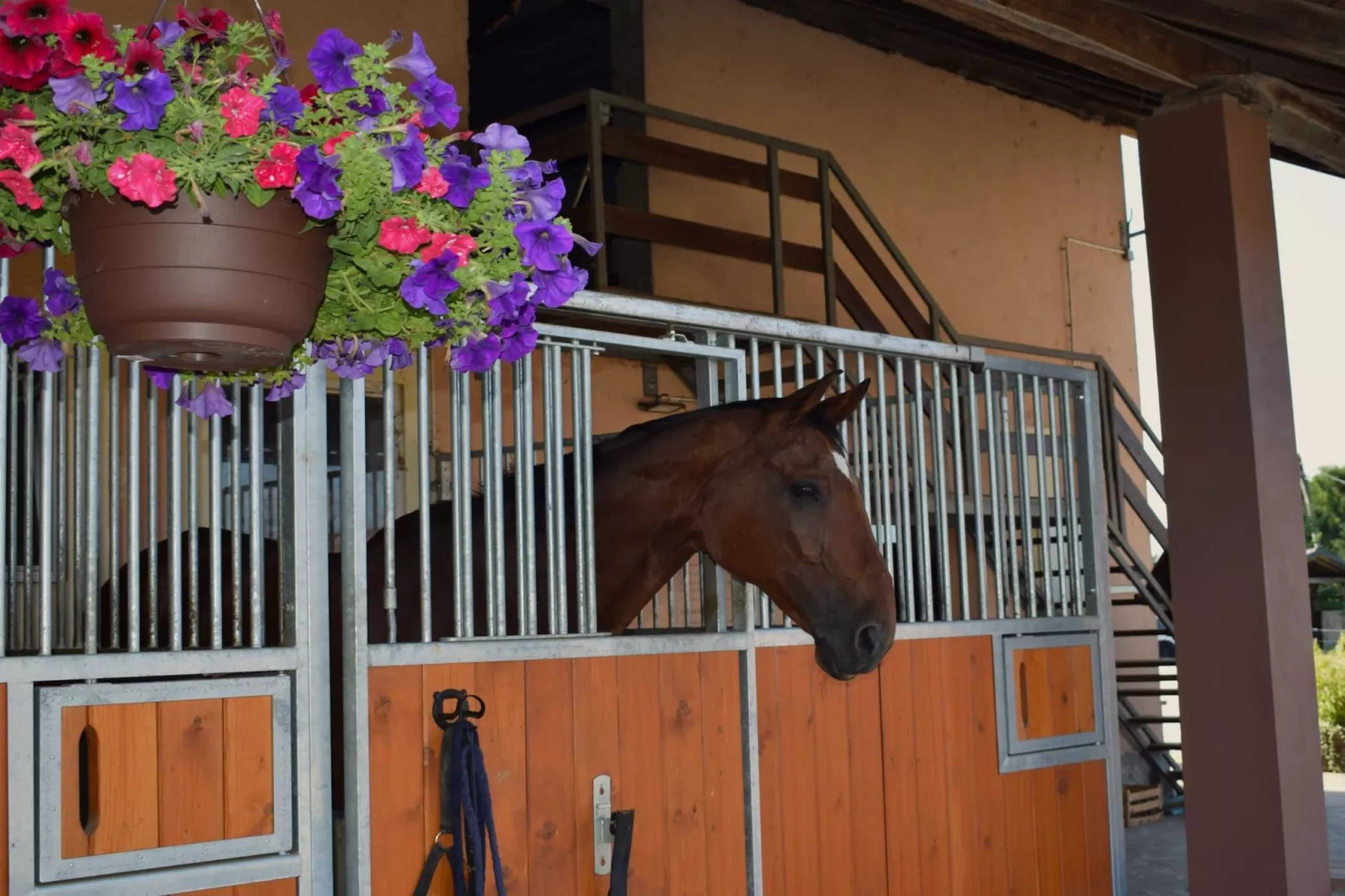 Zevnik Quiet Retreat with Stunning Views and Equestrian Activities - Triple Room with Private  Bathroom-Outdoor